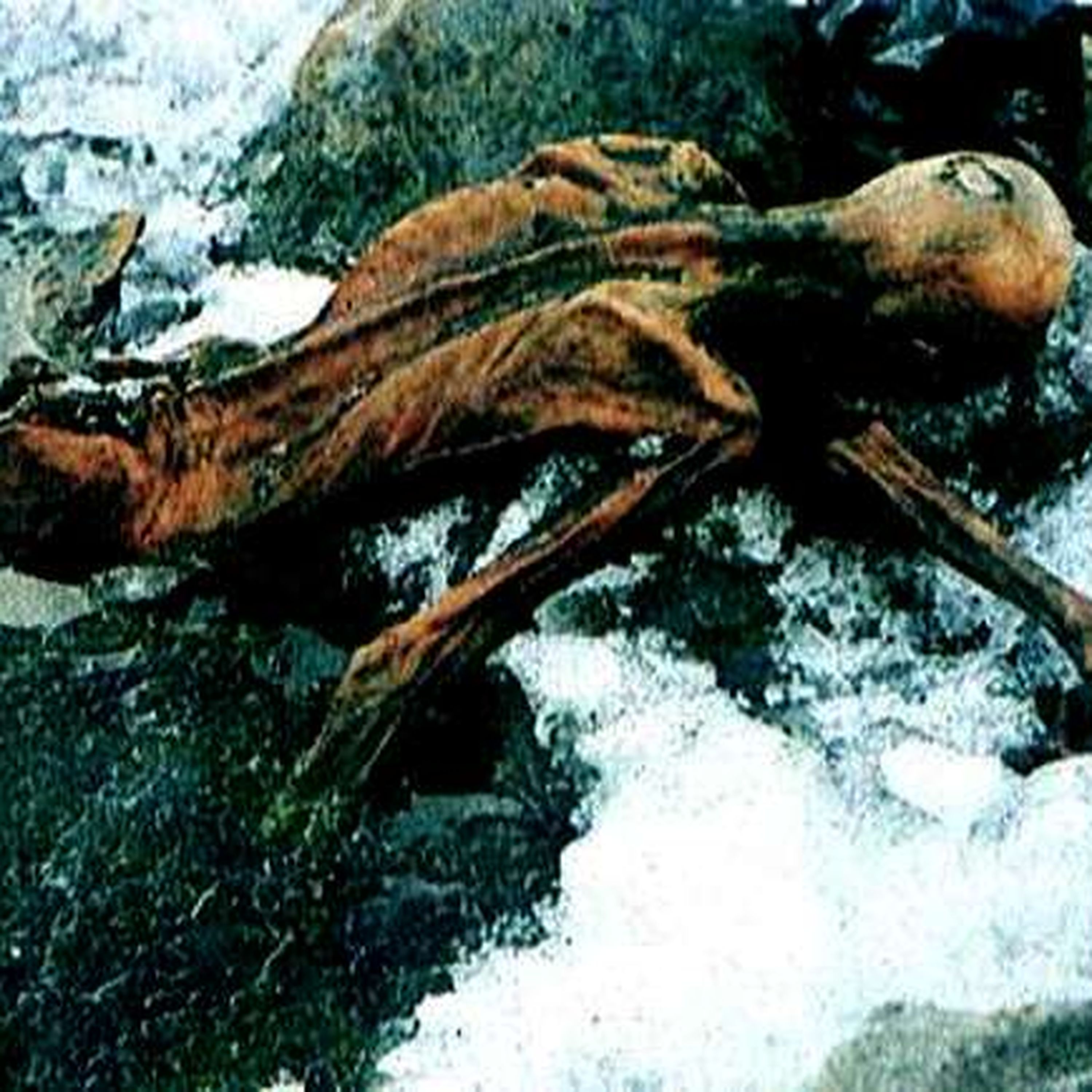 006: Ötzi