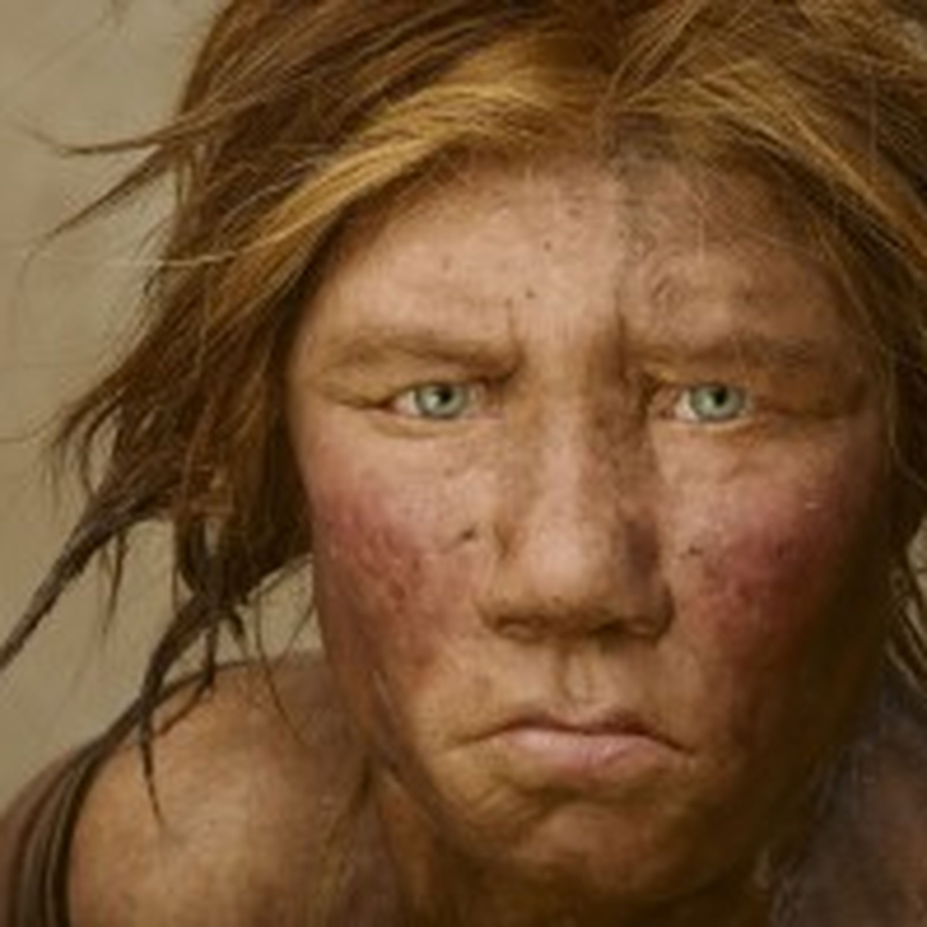 003 Neanderthals