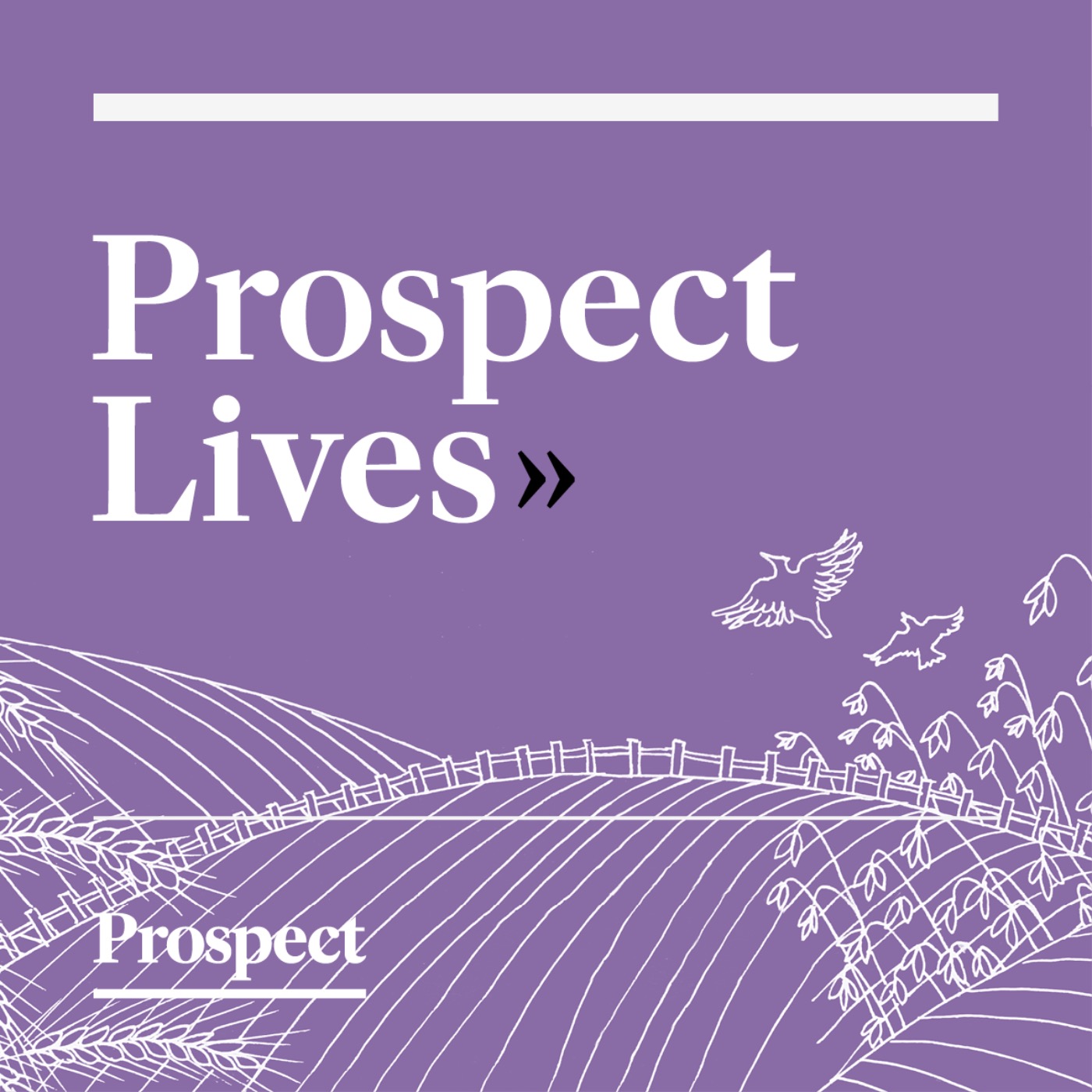 The Prospect Podcast