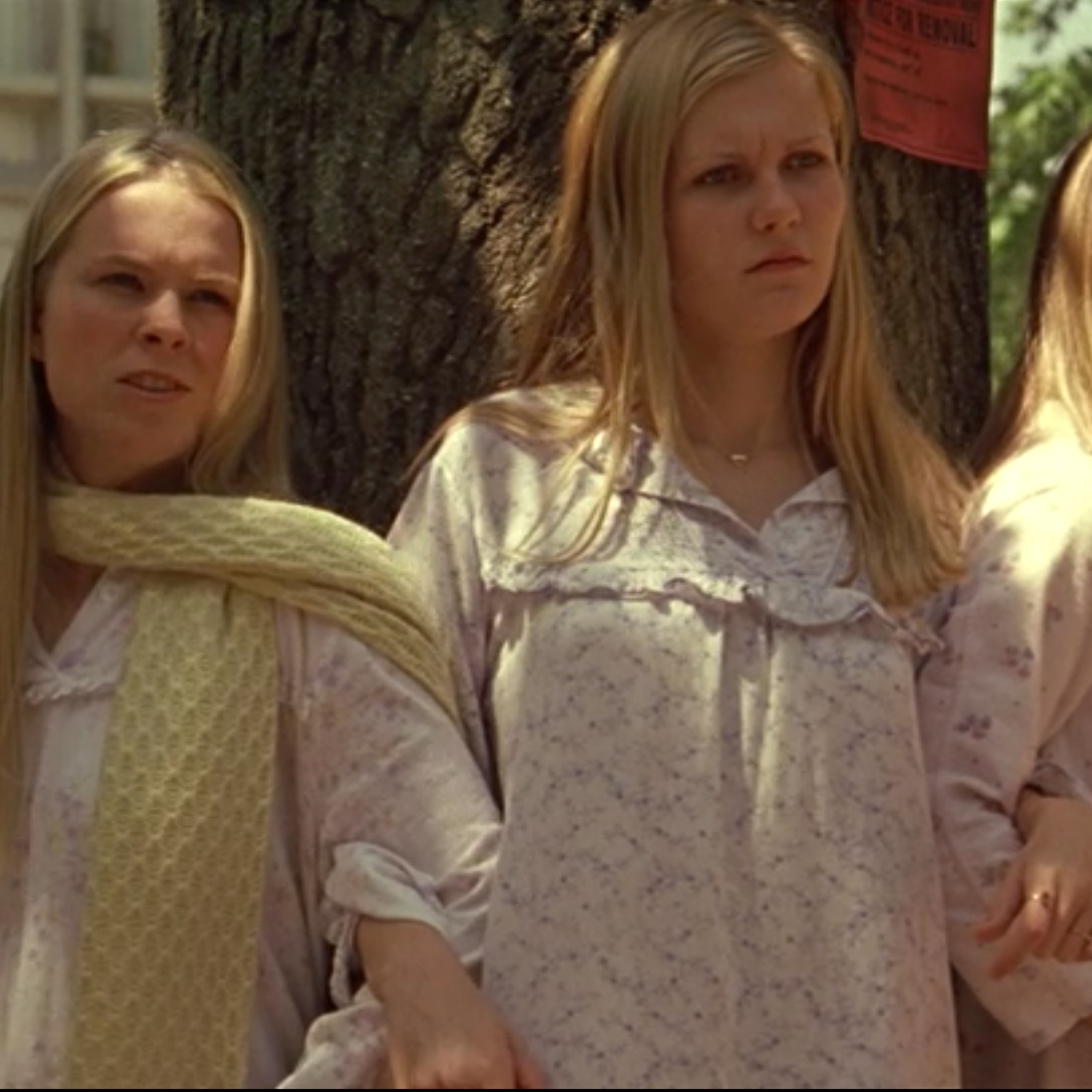 cover art for The Film Adaptation of The Virgin Suicides | S2 October Minisode