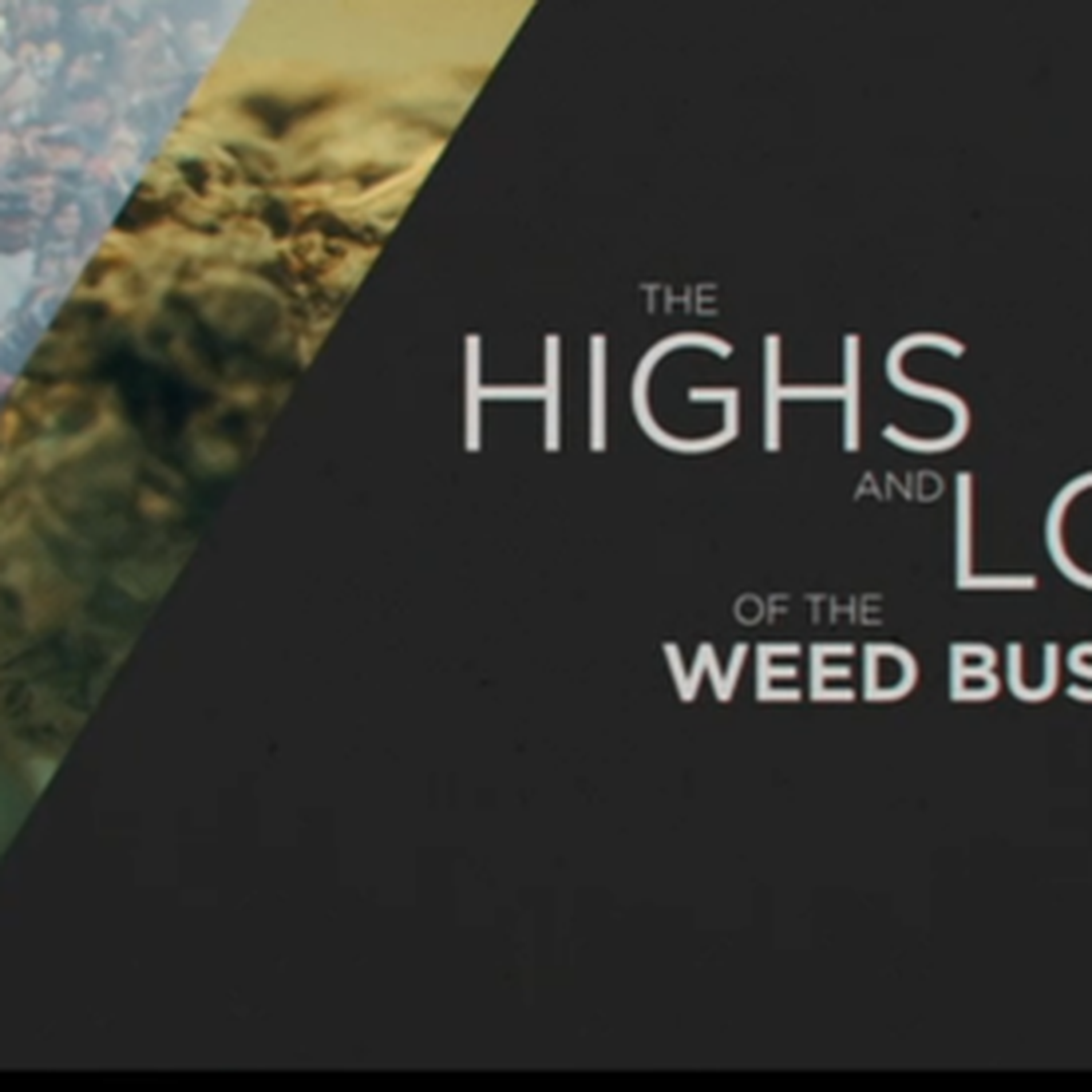 Colorado: The Highs and Lows of the Weed Business