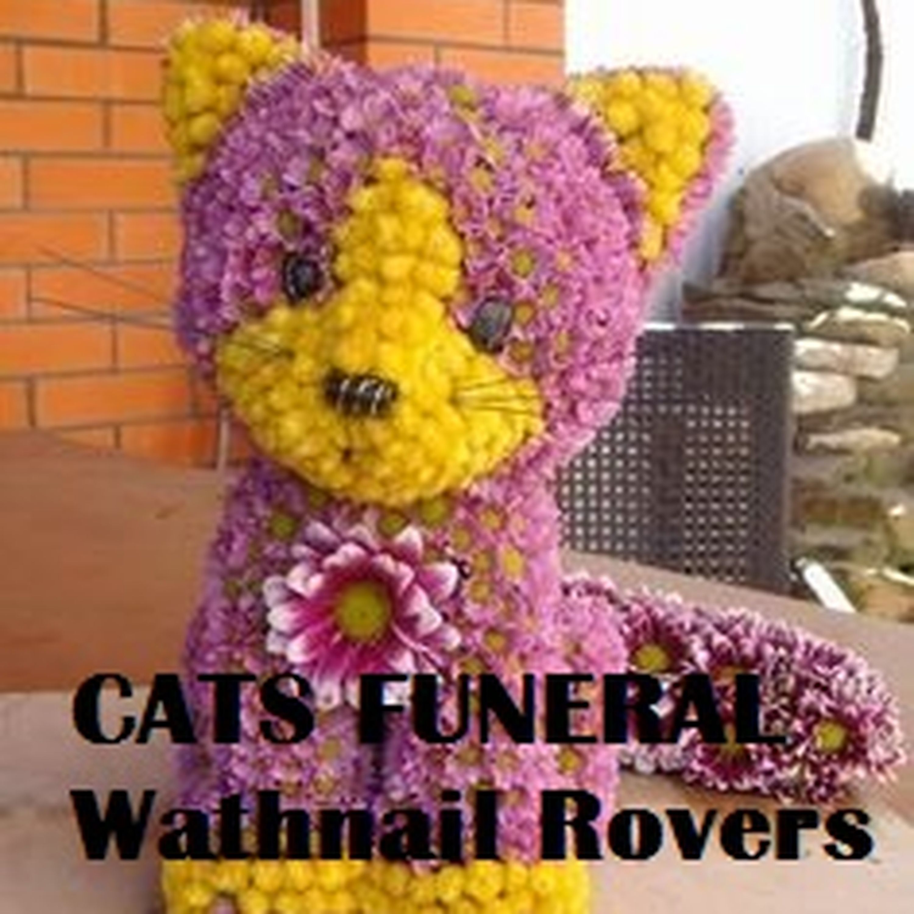 Cats Funeral episode artwork
