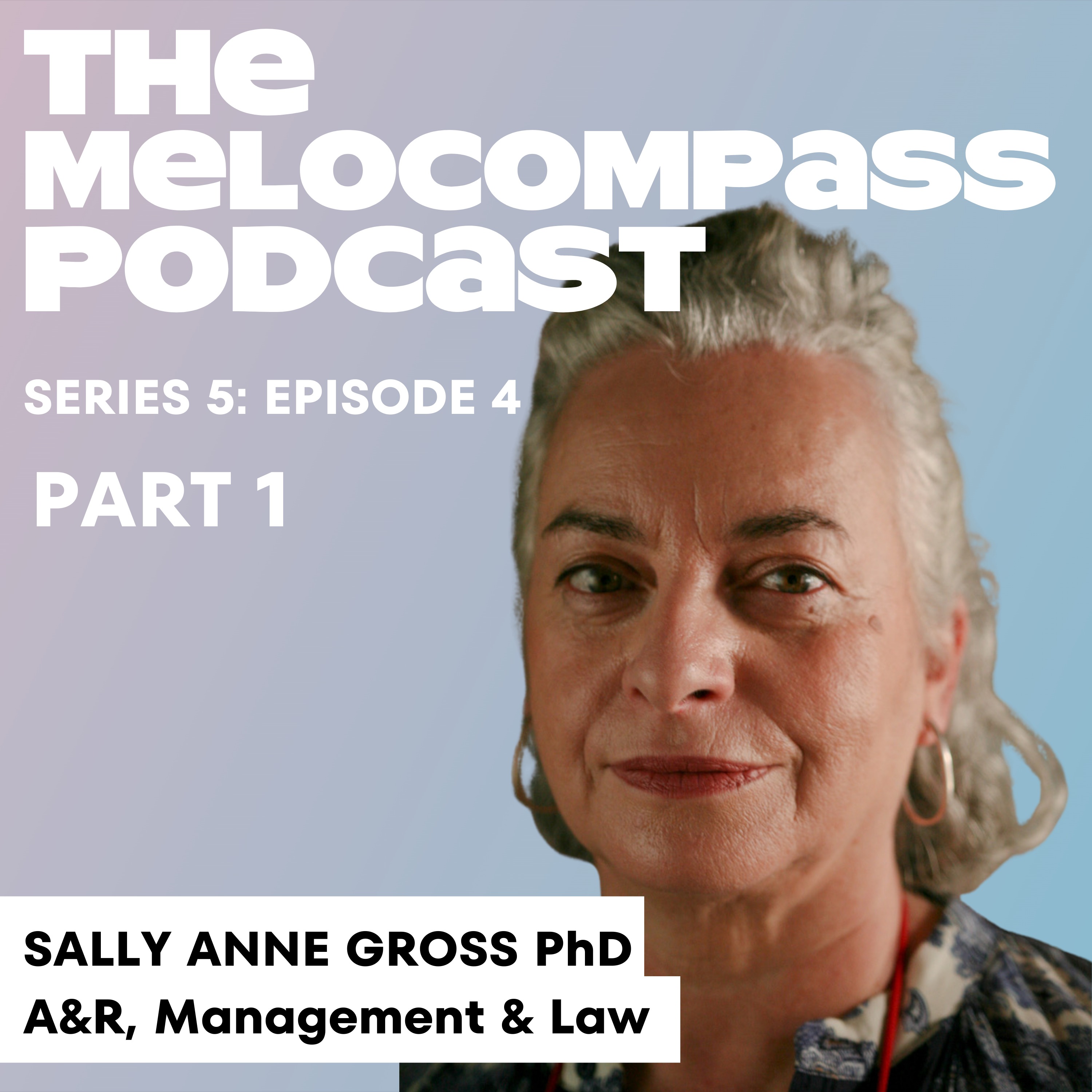 cover art for SALLY ANNE GROSS PhD: A&R, Management & Law