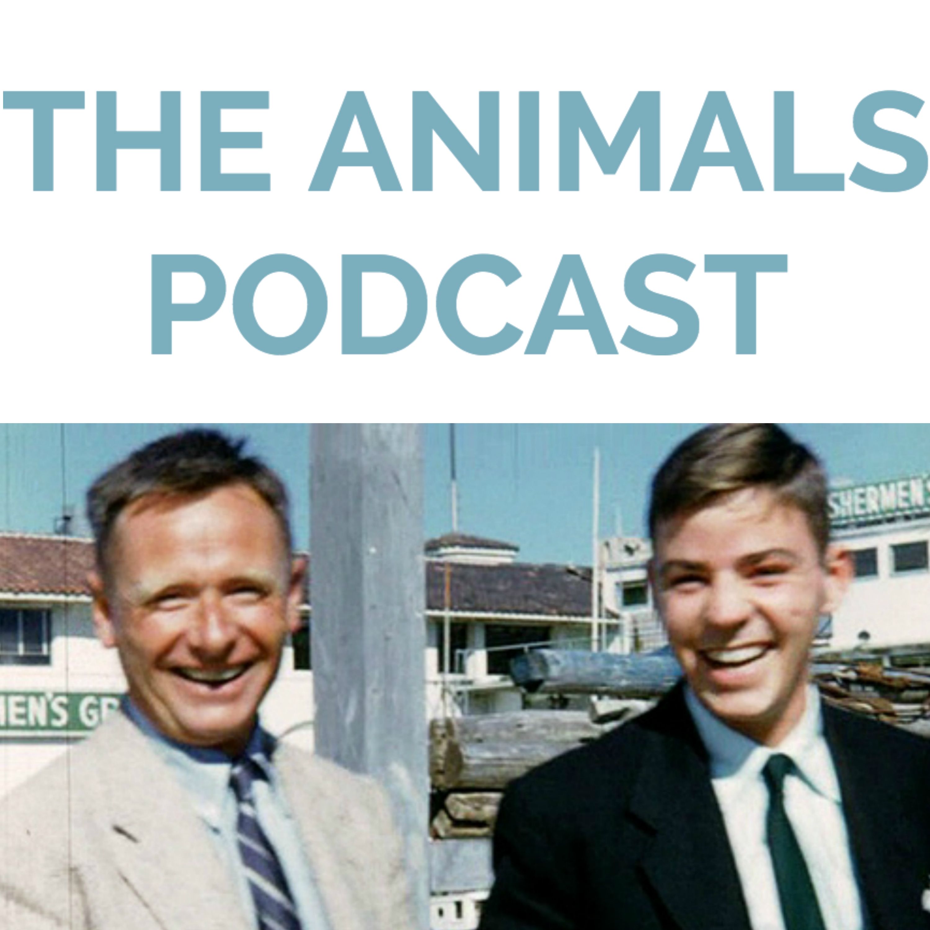 cover art for Episode One: Introduction to The Animals