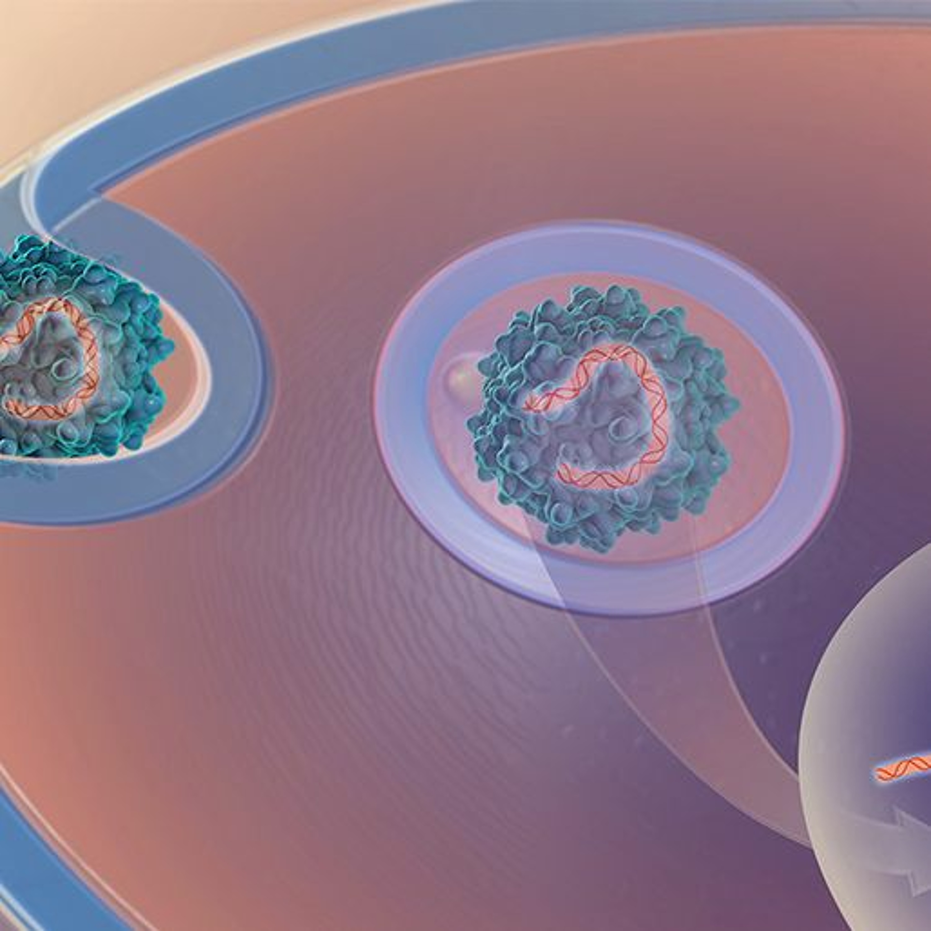 Navigating the Regulatory Terrain during Cell & Gene Therapy Production episode artwork