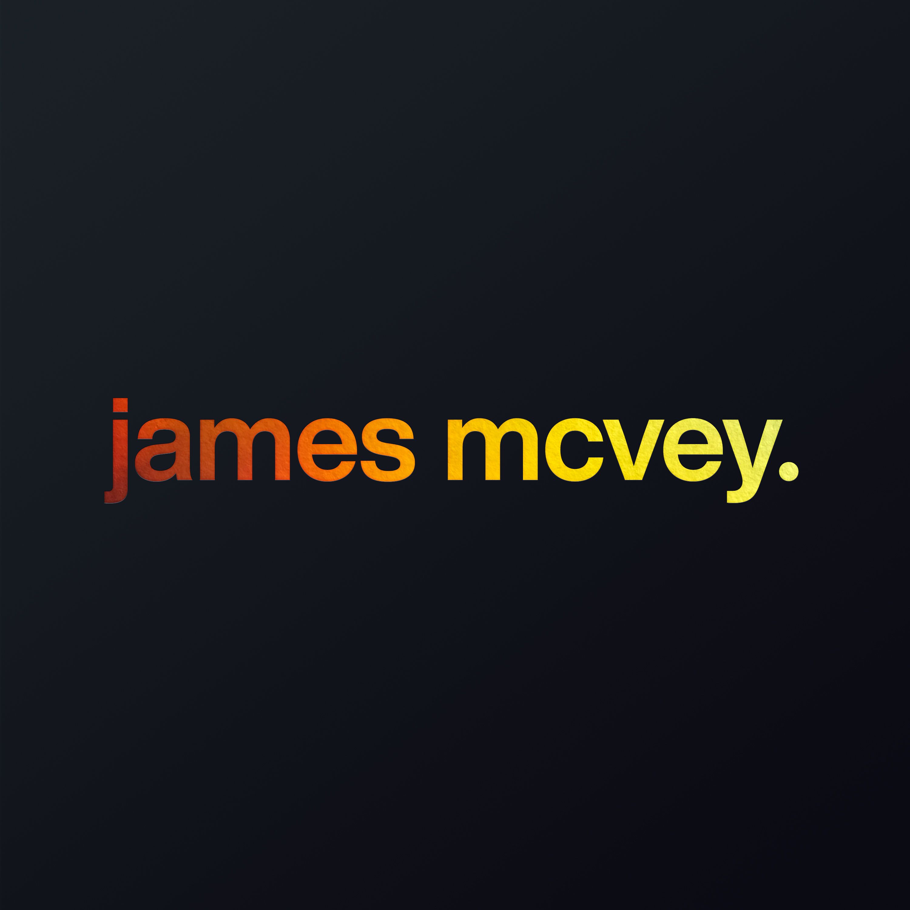 cover art for james mcvey: the bag is where it all began