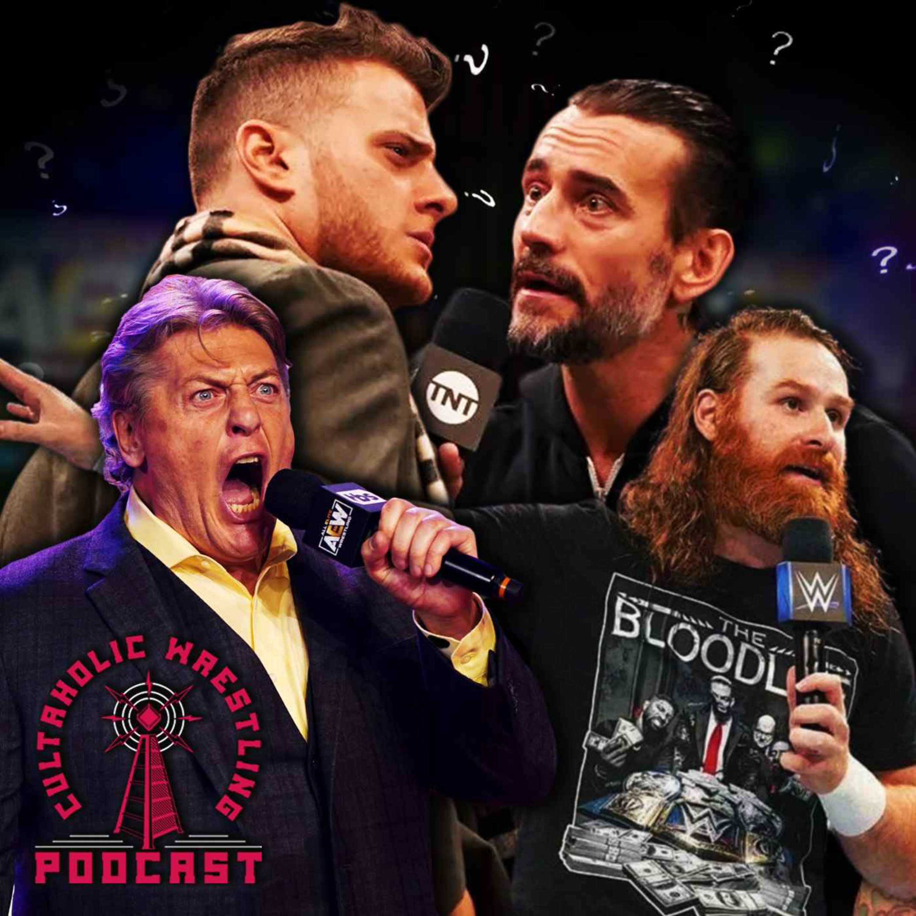 Cultaholic Wrestling Podcast 255 What Was The Best Wrestling Promo Of