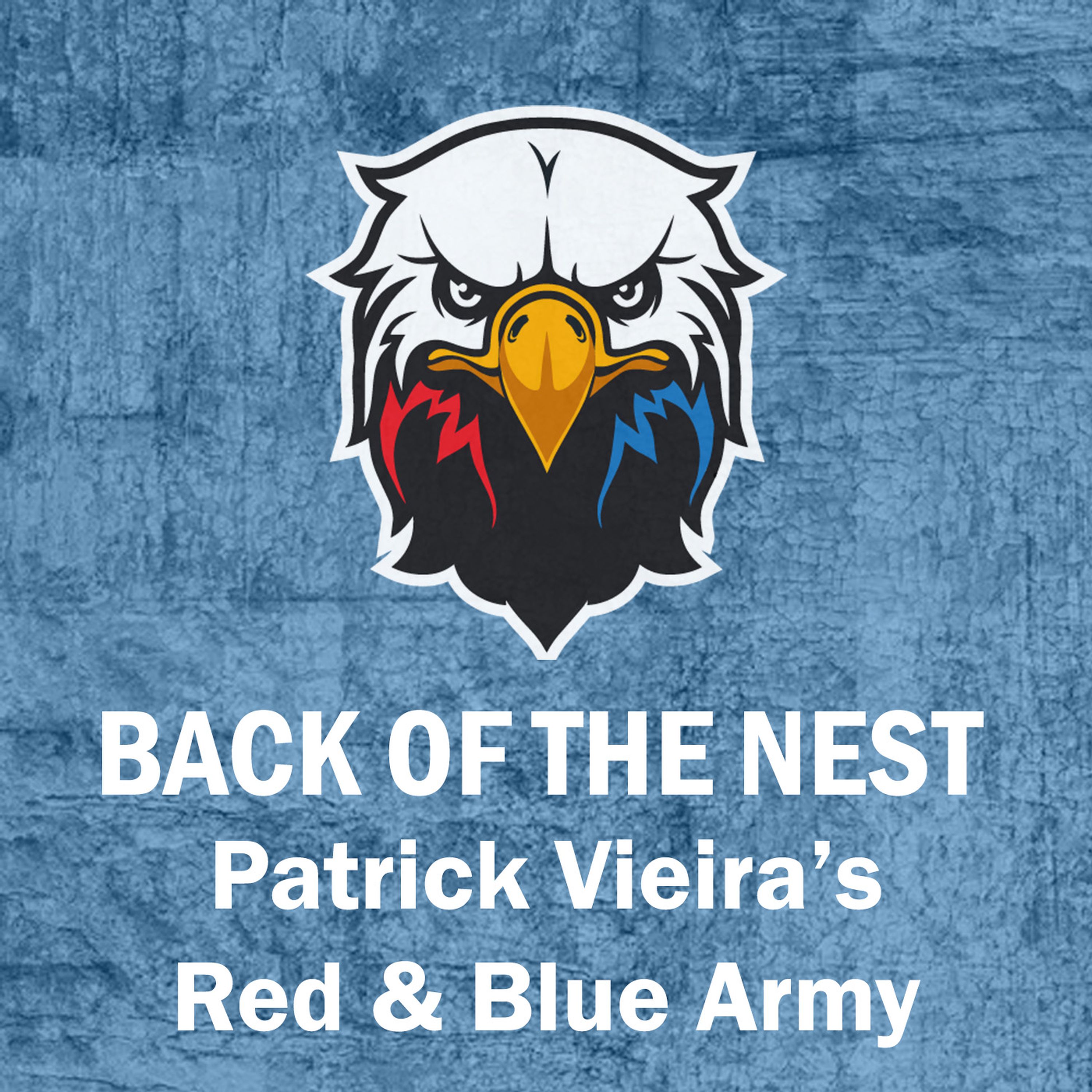 Patrick Vieira's Red & Blue Army