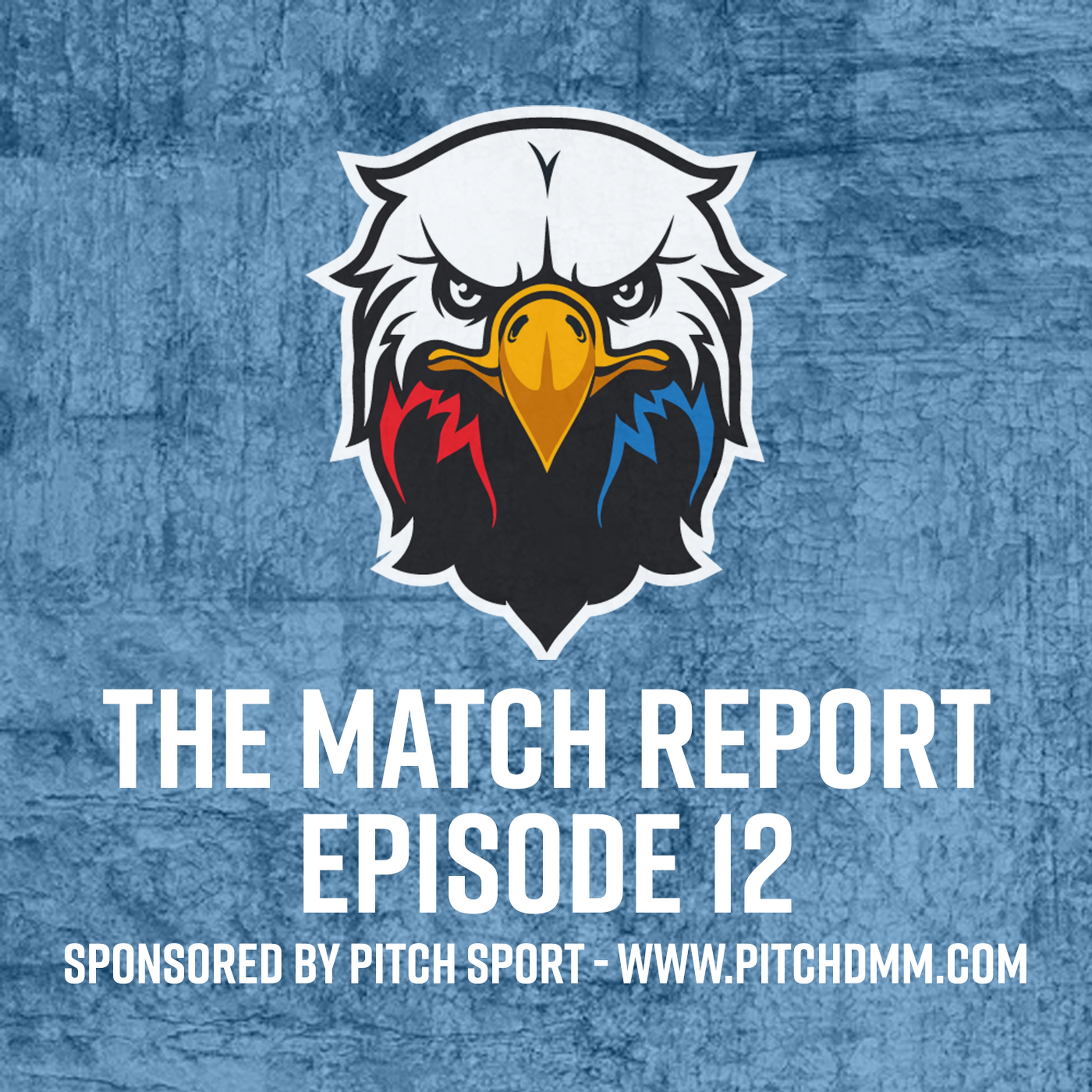 The Match Report - Palace Spurred on By Selhurst Faithful