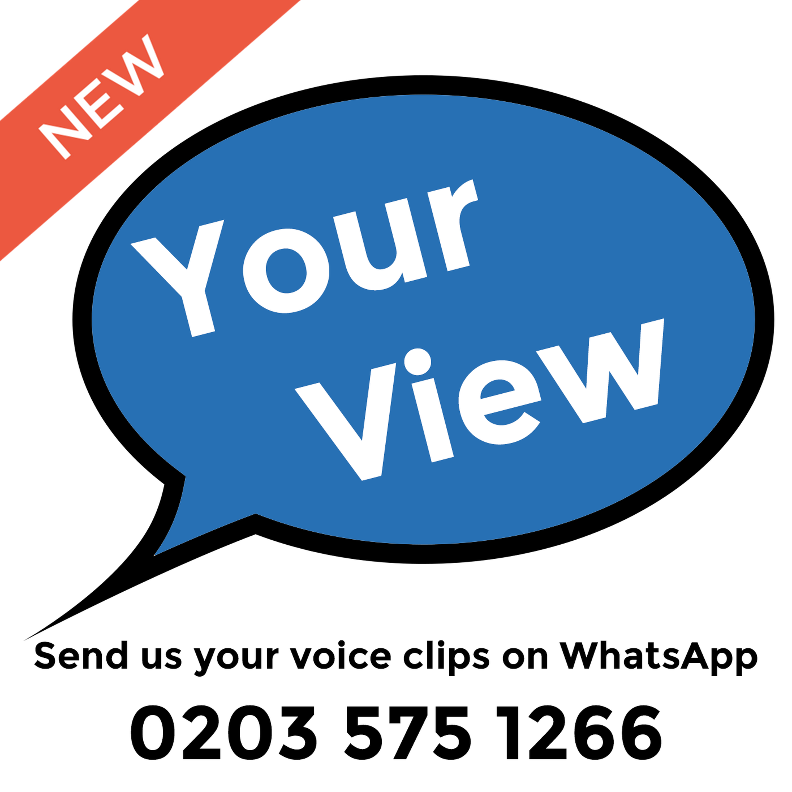 Your View - Wolves (H)