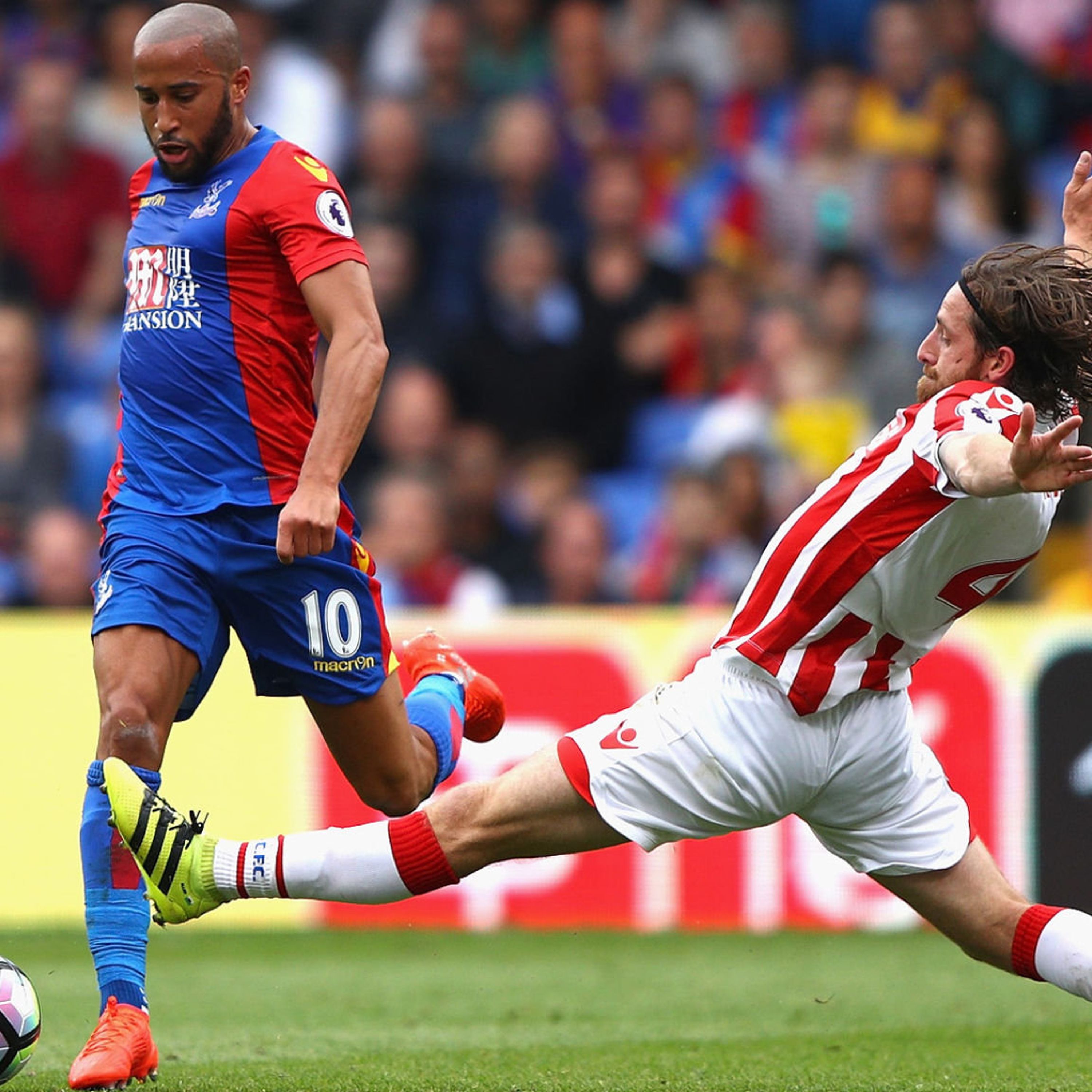 Back Of The Nest (CPFC Podcast)