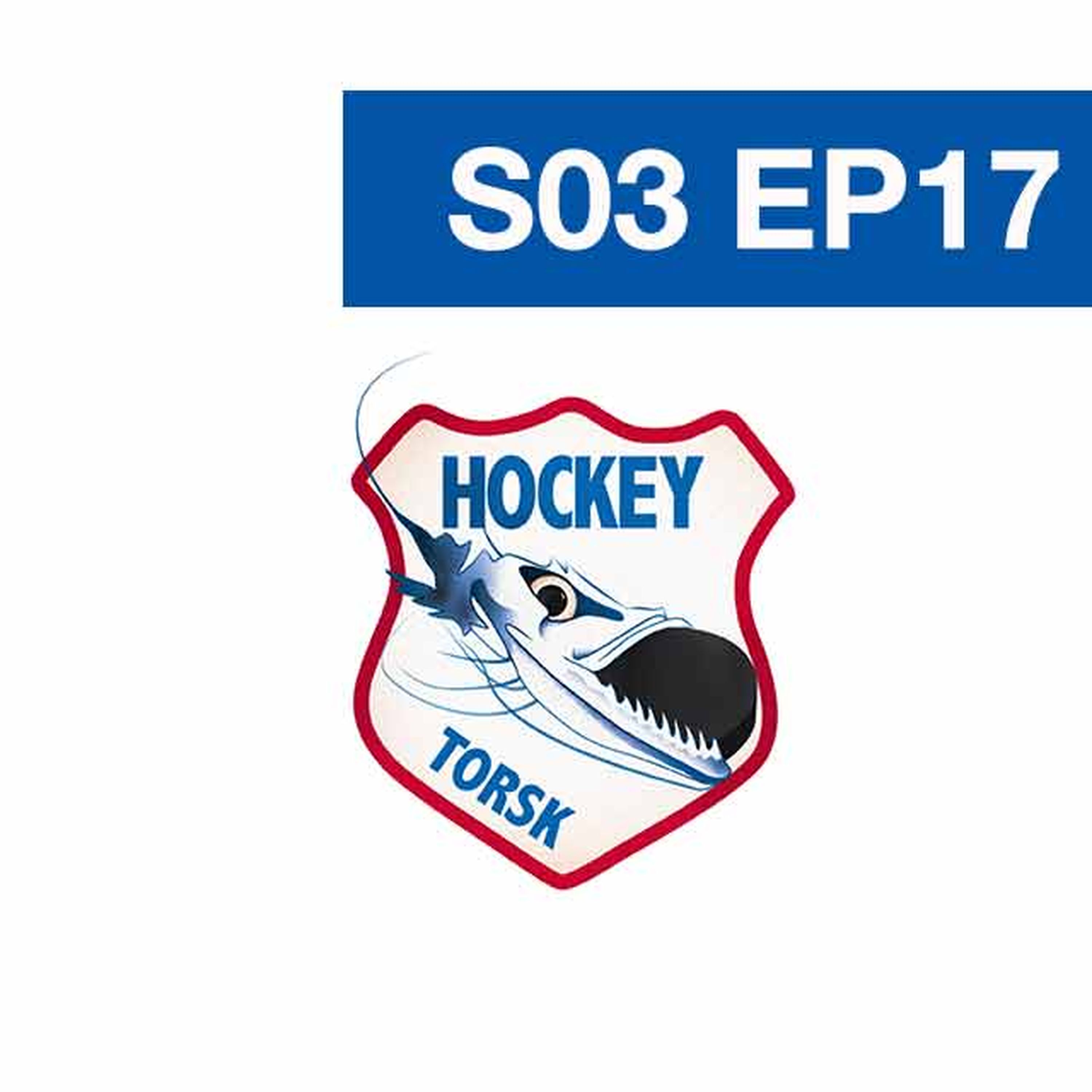 Hockeytorsk