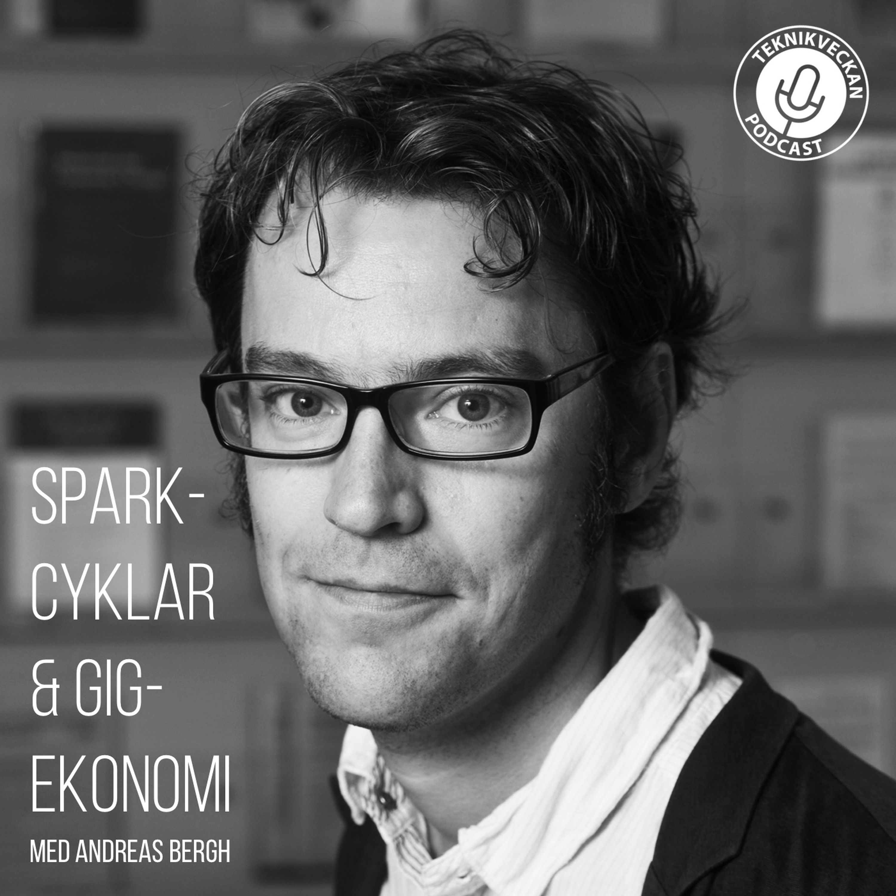 Sparkcyklar och Gig-ekonomi med Andreas Bergh episode artwork