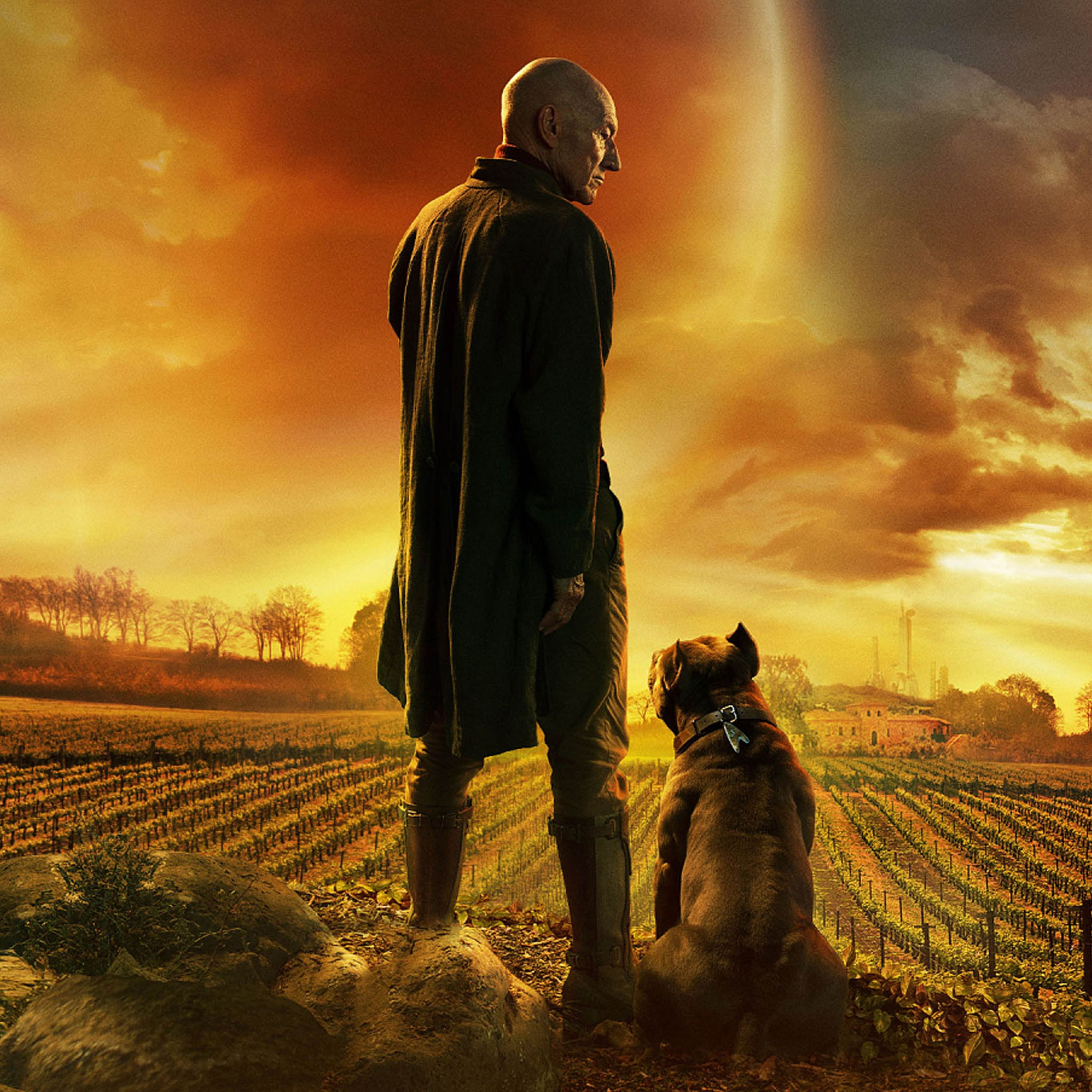 cover art for Star Trek: Picard - Das alte Star Trek?