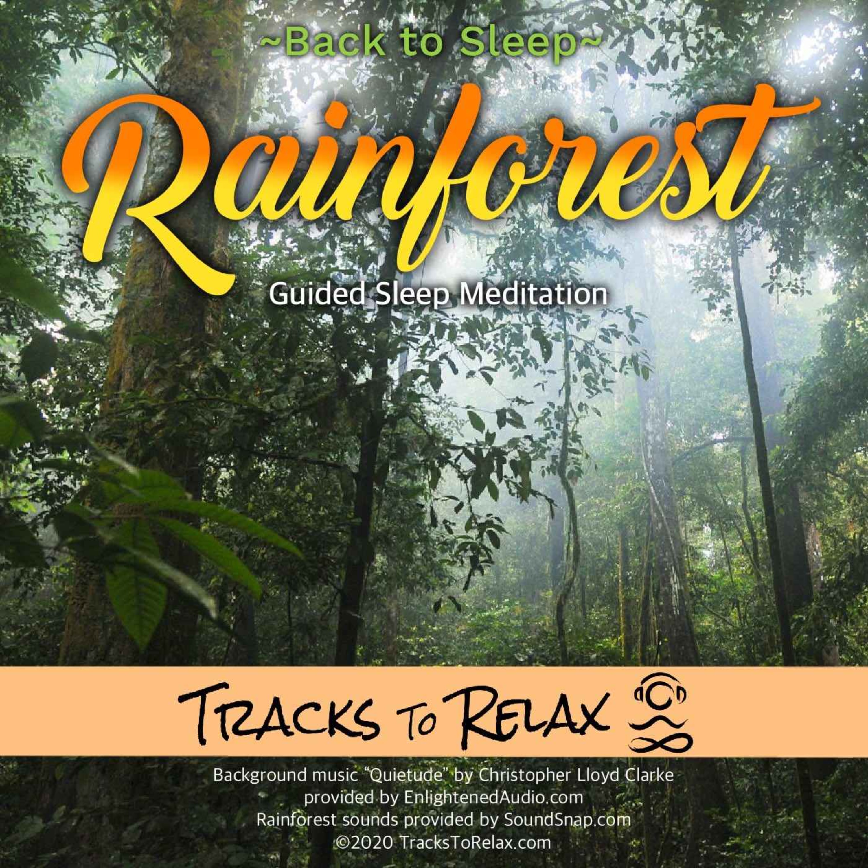 Rainforest Sleep Meditation