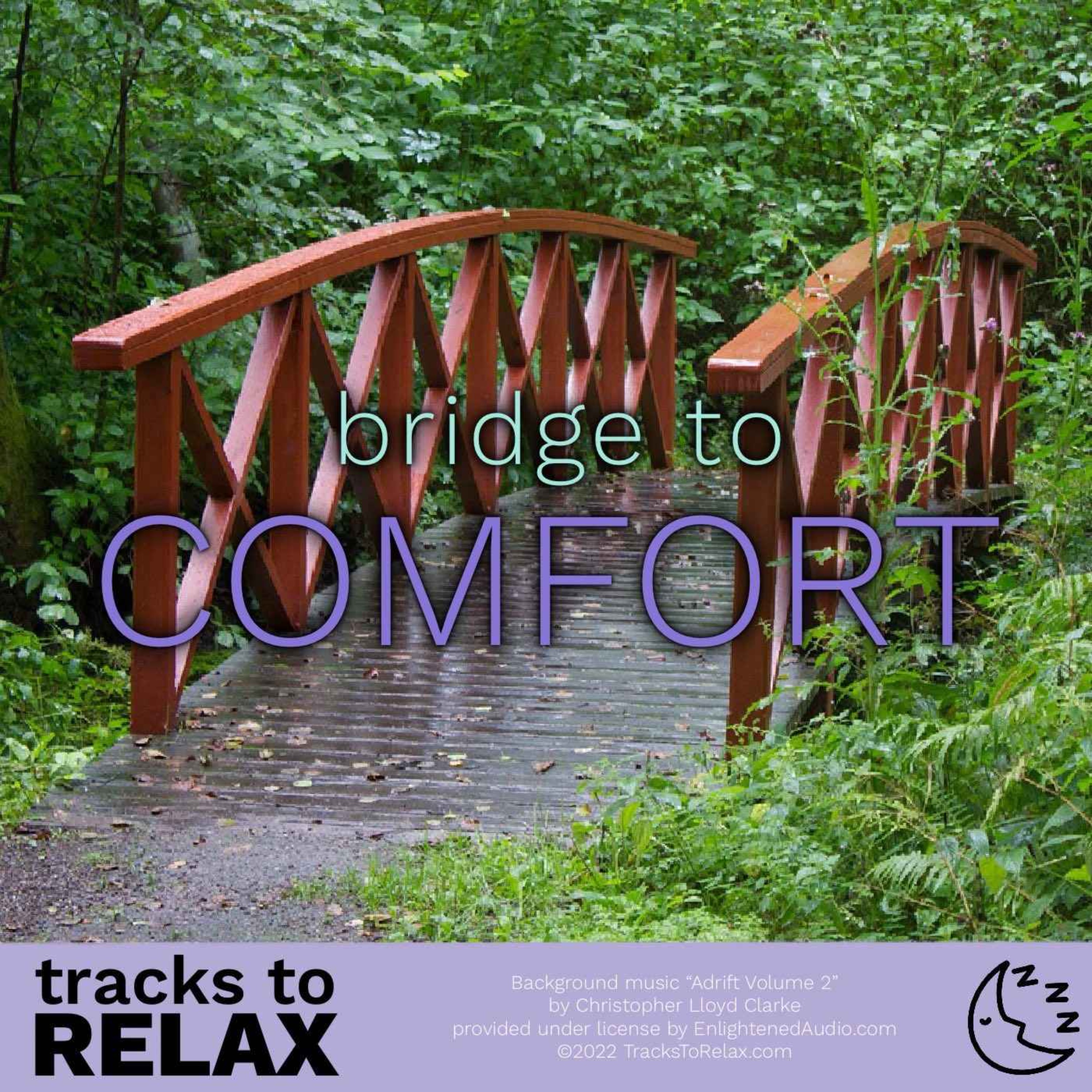 cover art for Bridge To Comfort Sleep Meditation