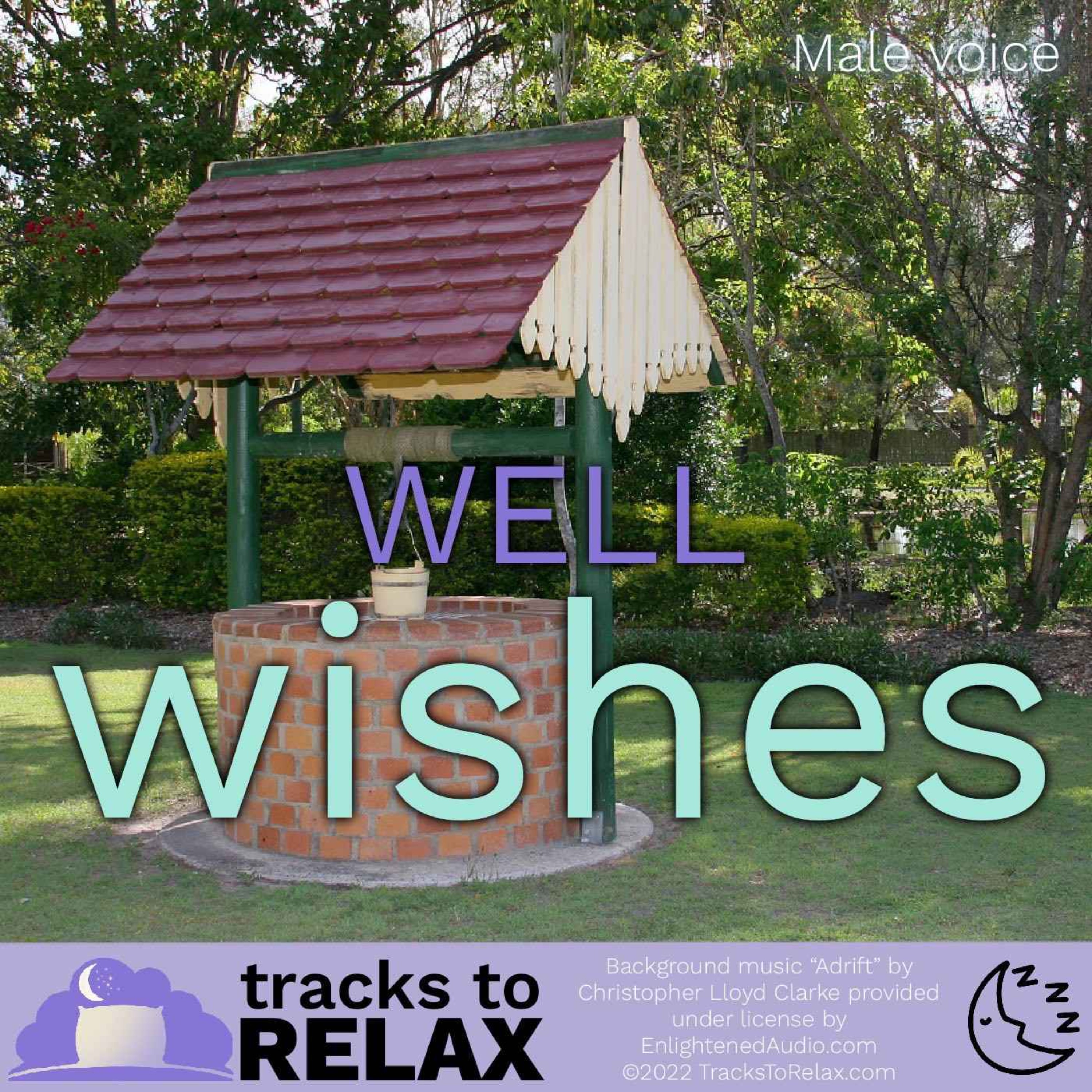cover art for Well Wishes - Sleep Meditation
