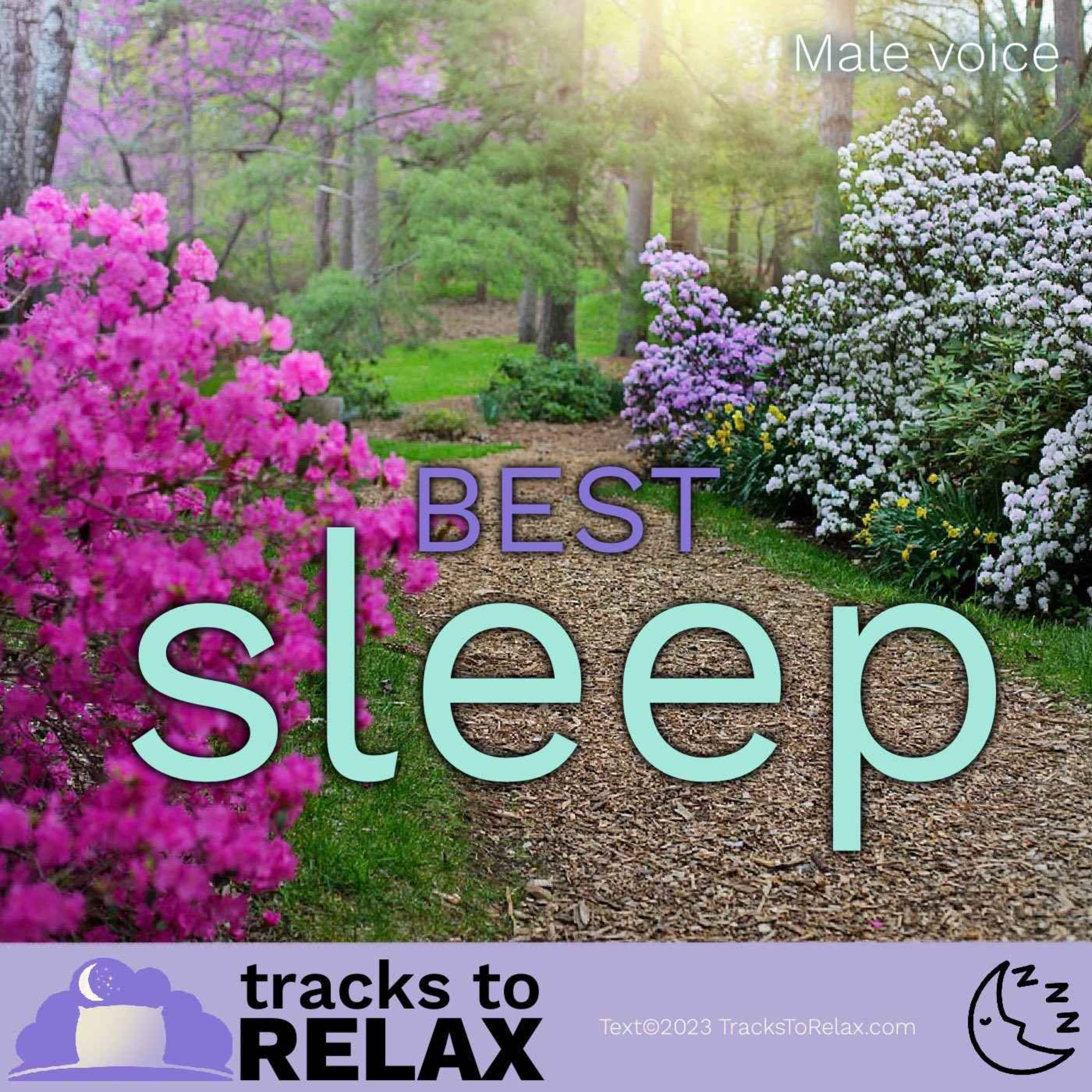 Best Sleep Meditation