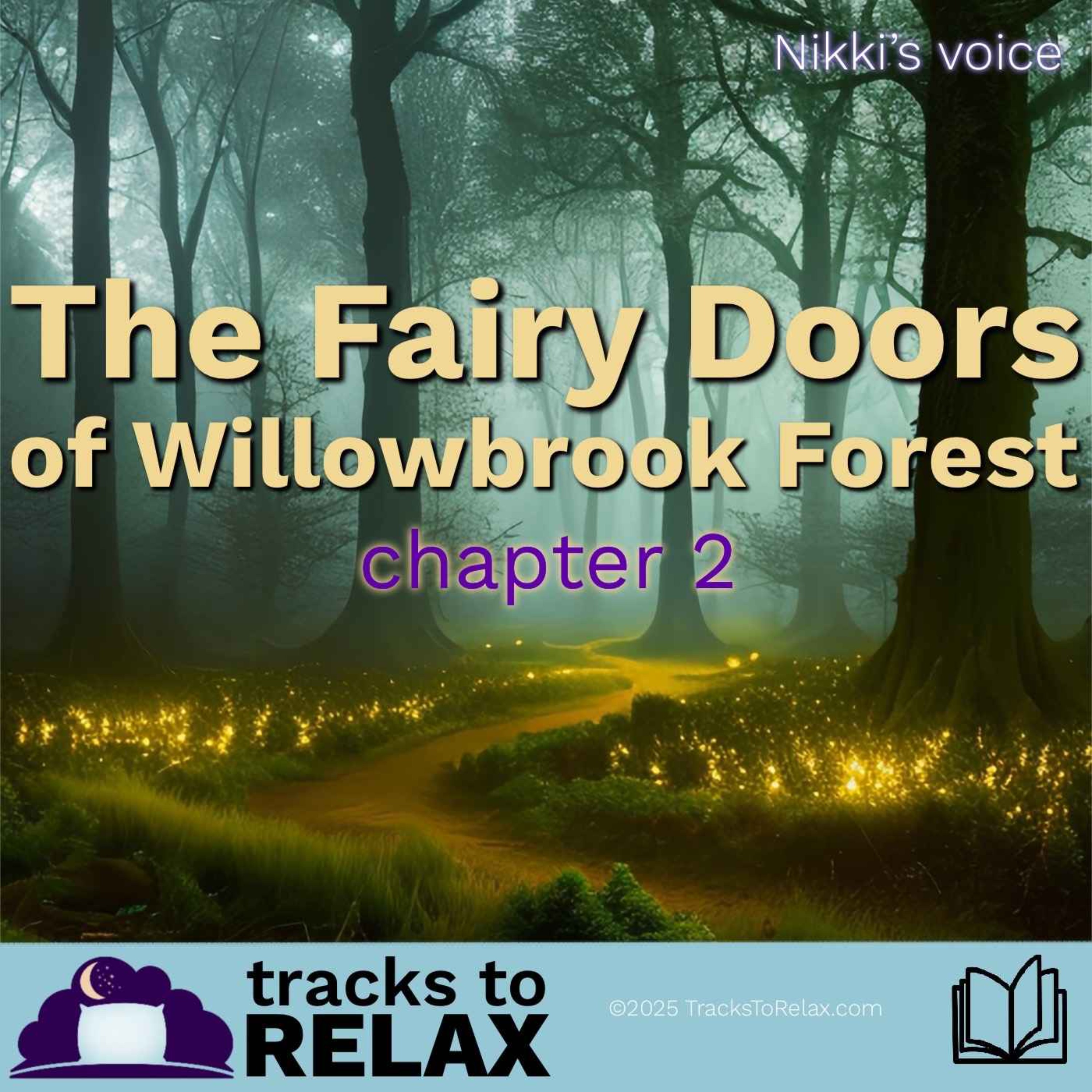 Fiairy Doors Chapter 2 (Nikki's Voice)