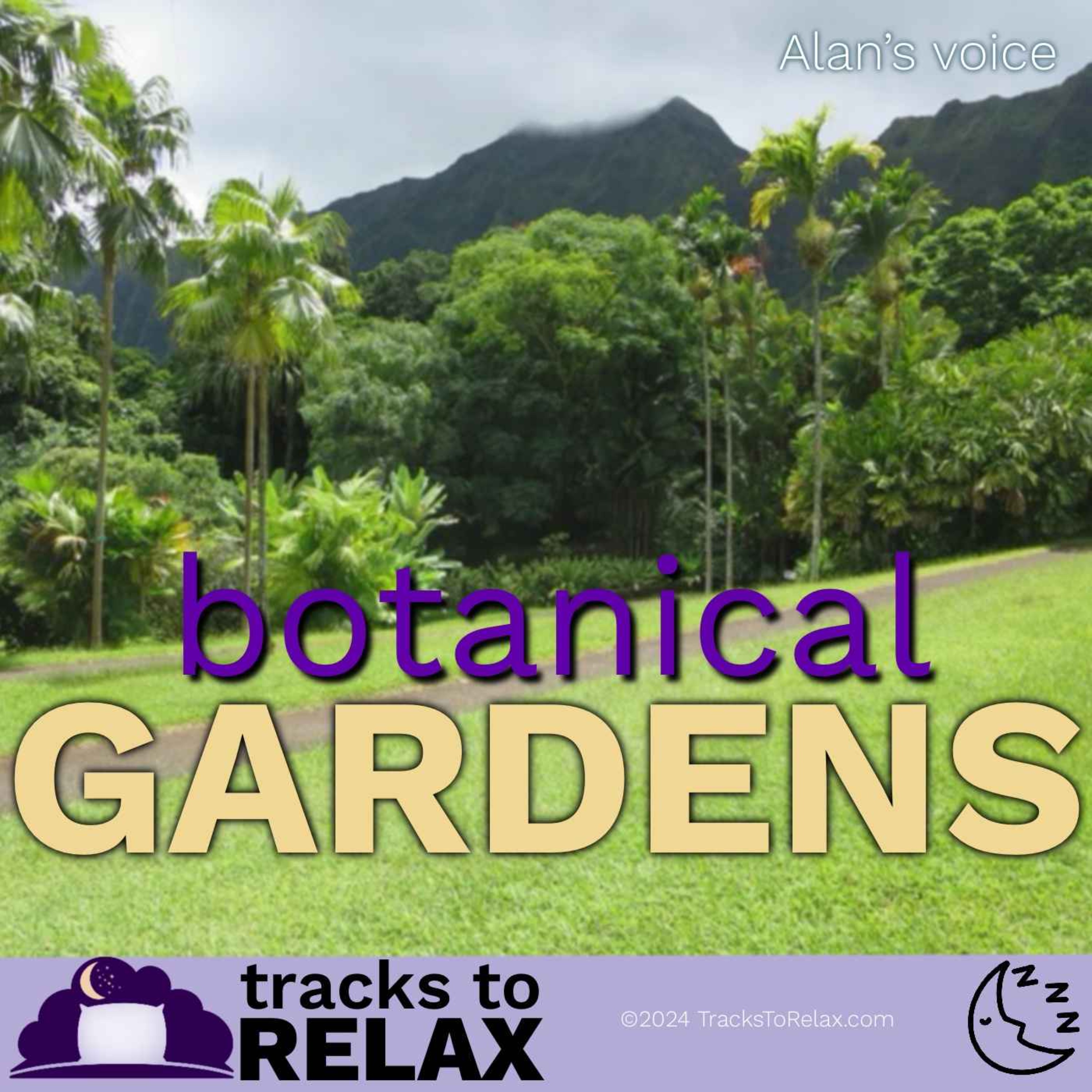 Botanical Garden Bedtime Meditation episode artwork