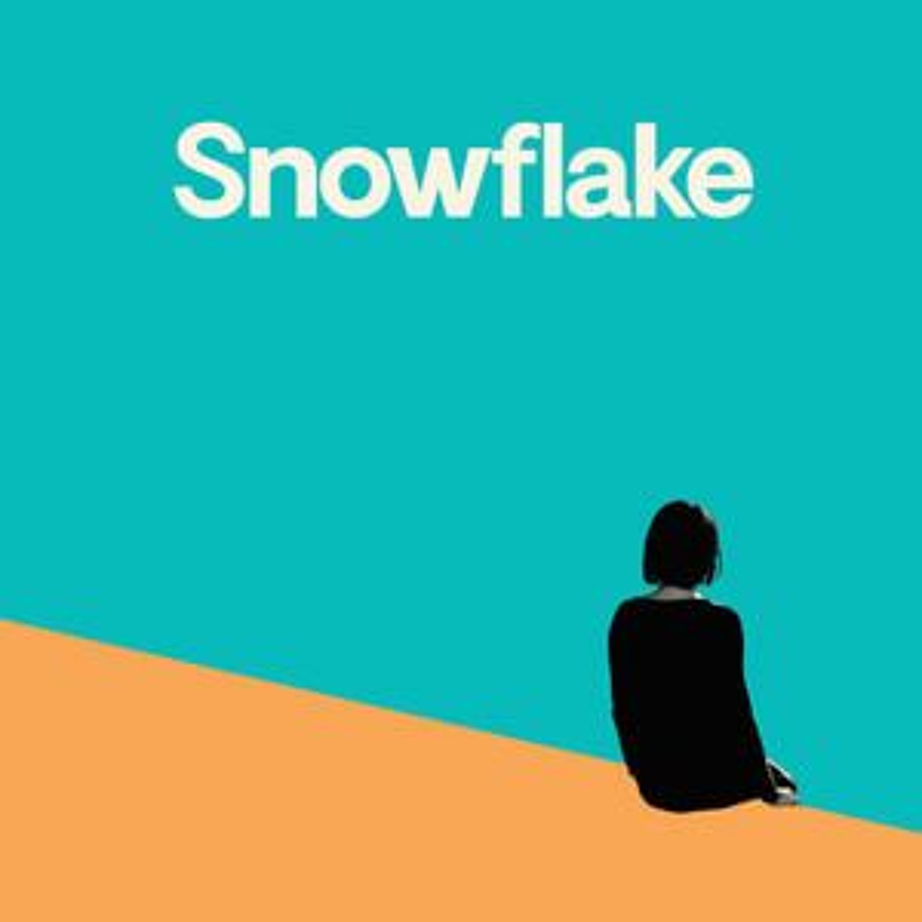 cover art for S1 E8 | Snowflake