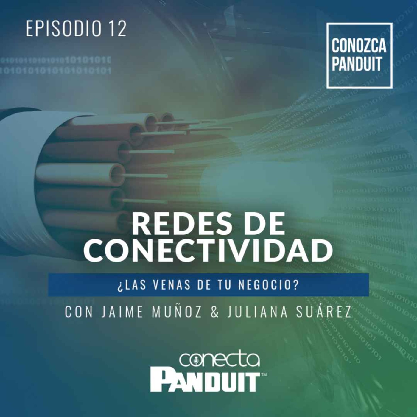 Conecta Panduit