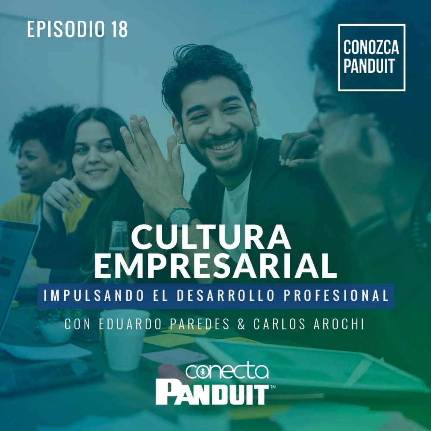 Conecta Panduit