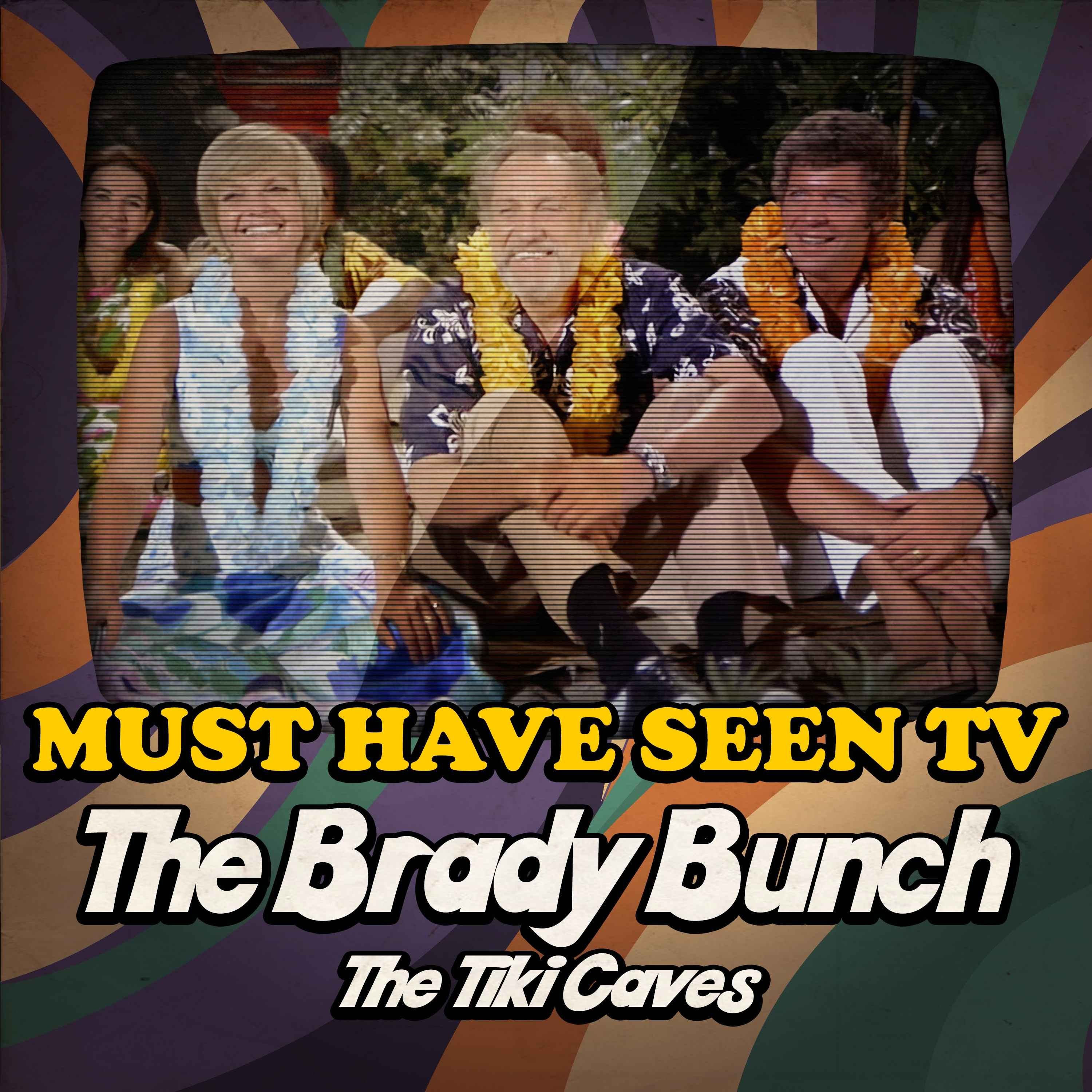 Must Have Seen TV