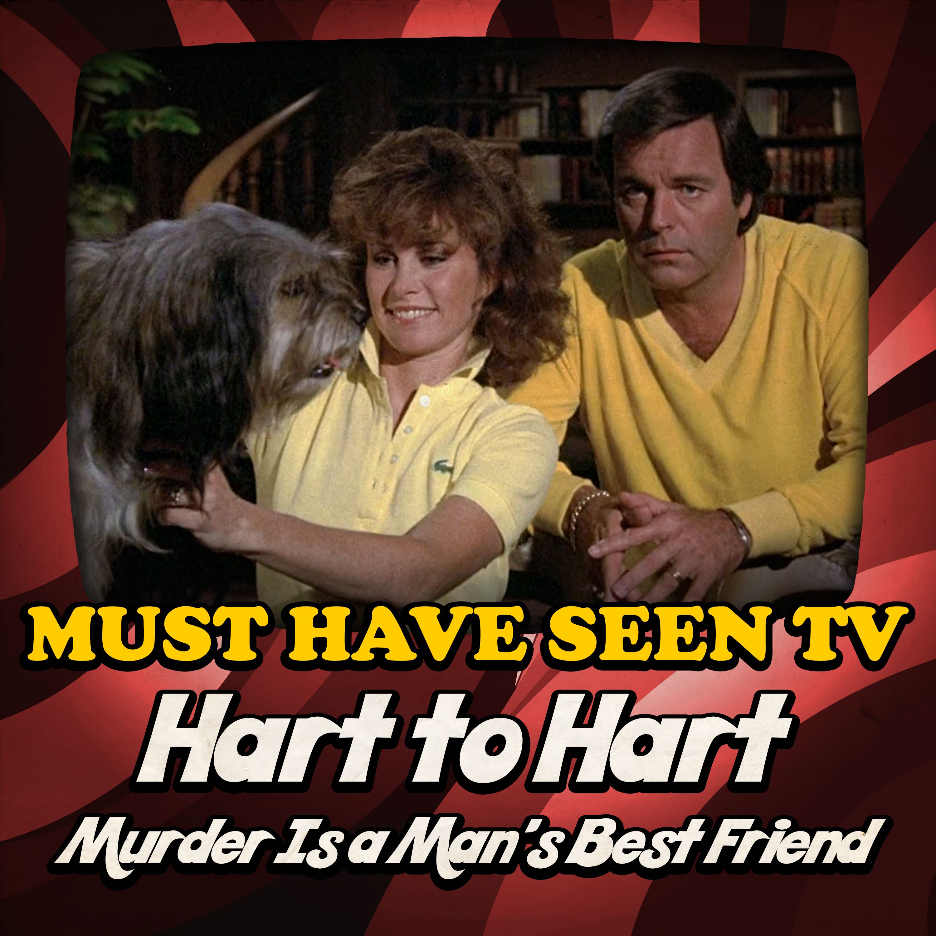 Must Have Seen TV