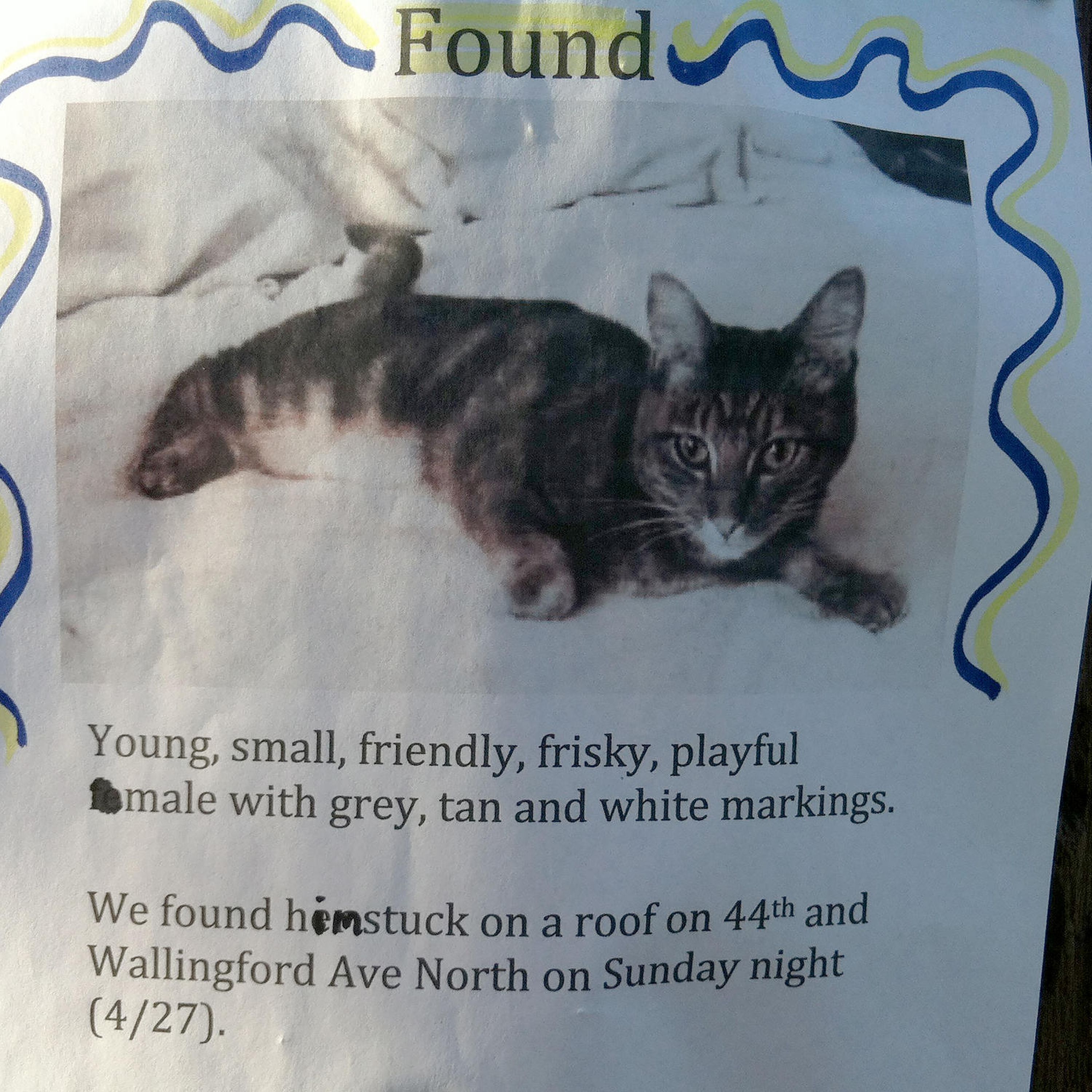 Re:sound #239 The Stupid Pet Tricks Show