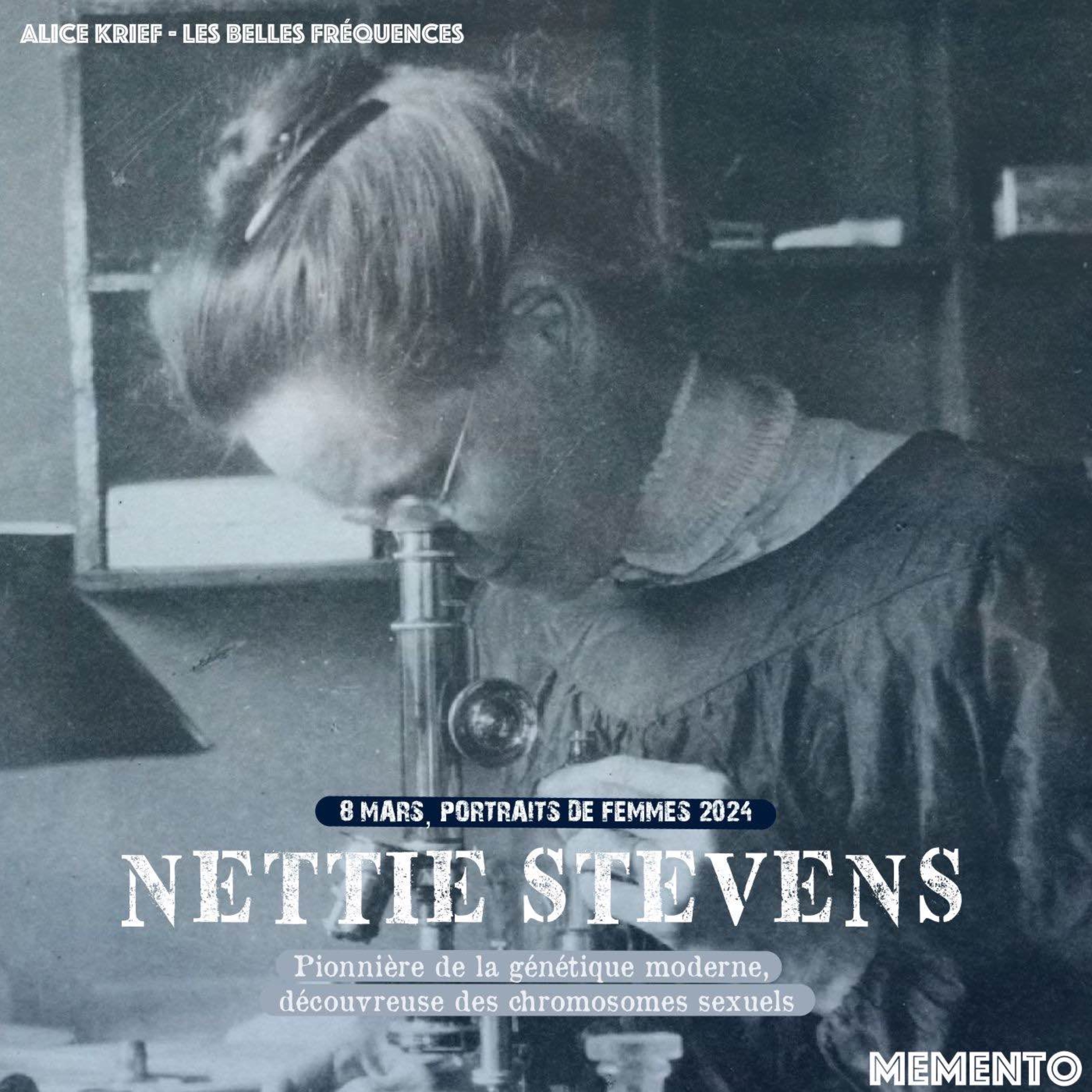 cover art for [8 MARS] Nettie Stevens  - Pionnière de la génétique moderne, découvreuse des chromosomes sexuels