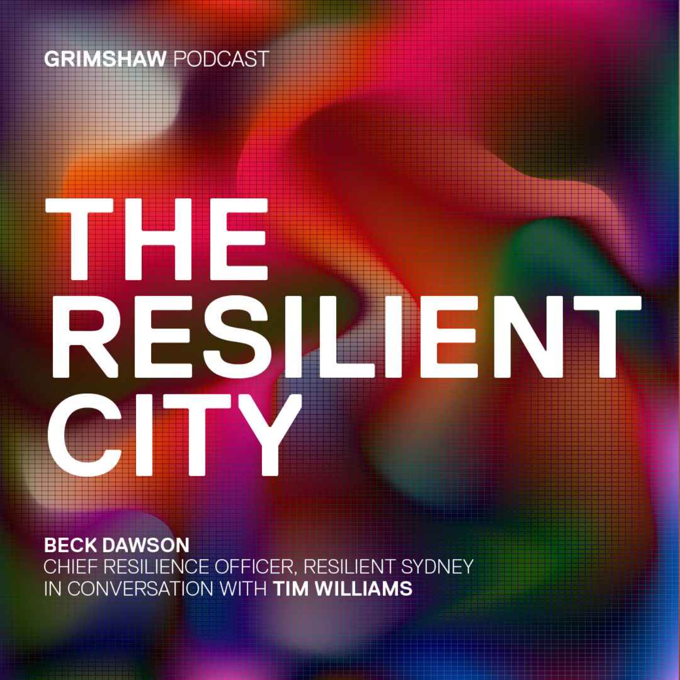 THE RESILIENT CITY