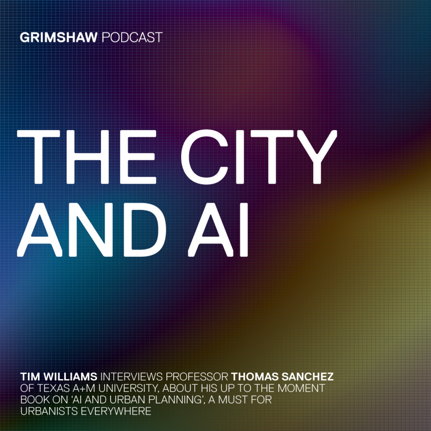 THE CITY AND AI