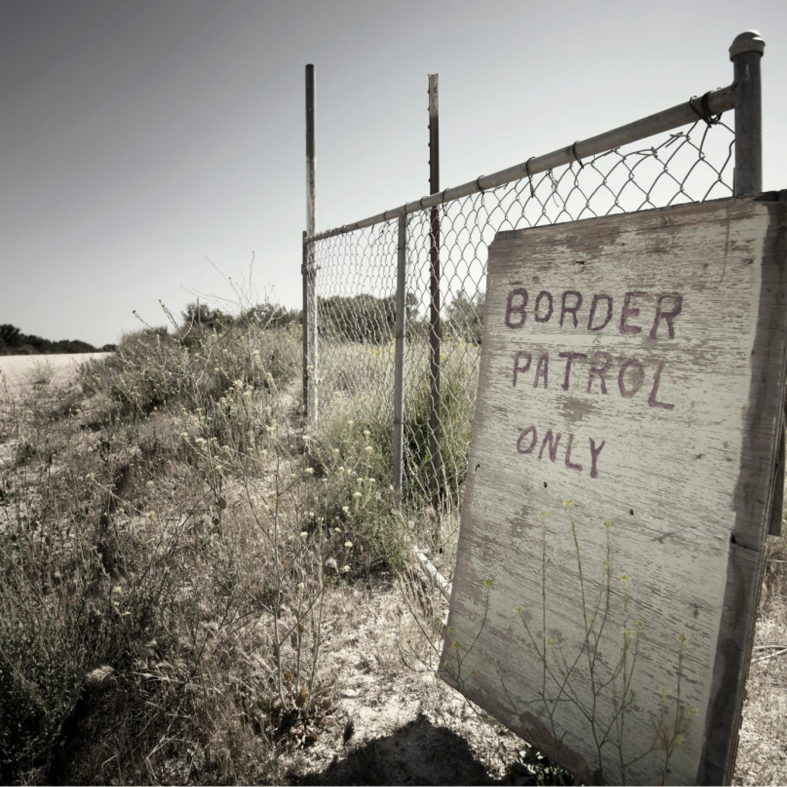 Episode 9: The World of the US Border Patrol