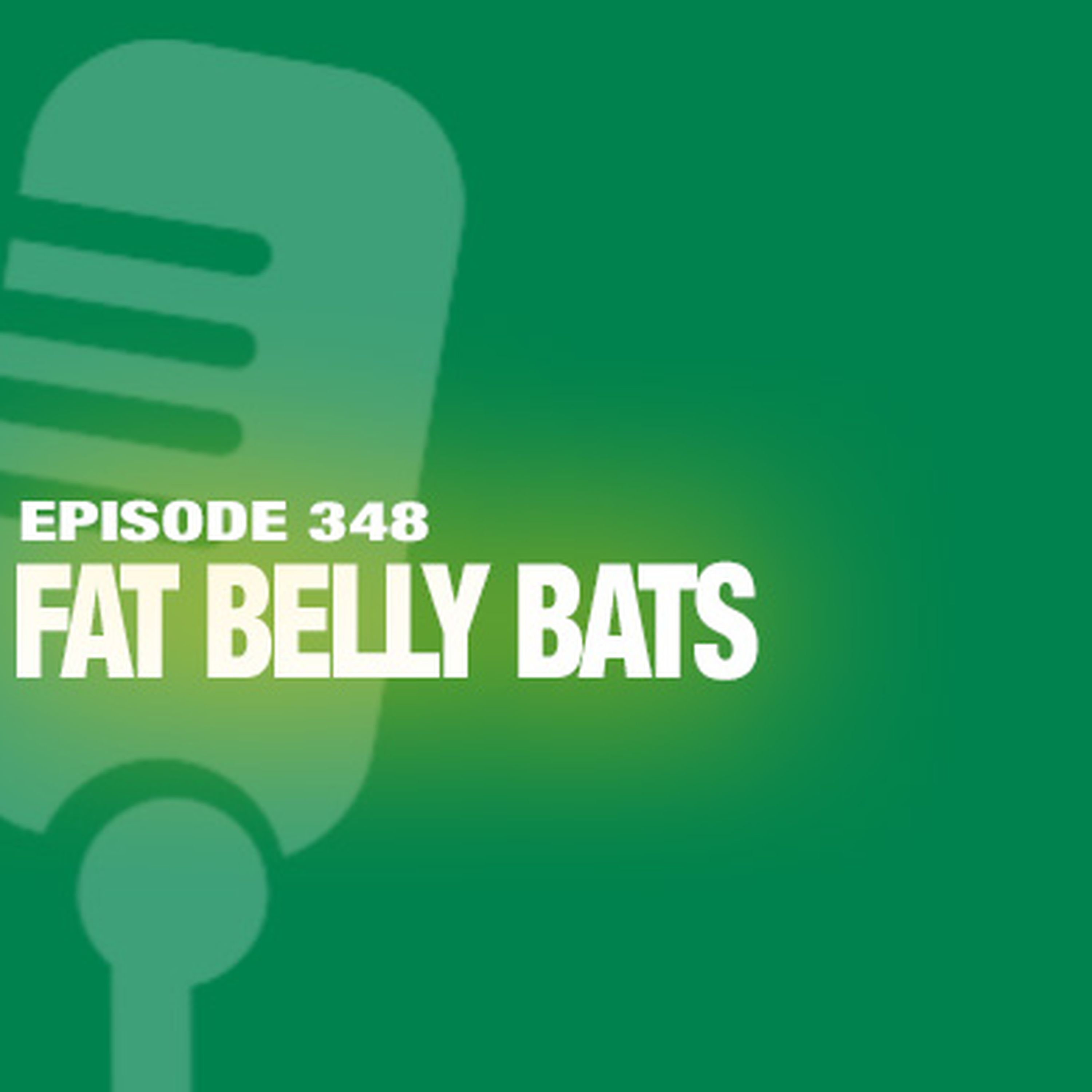 TWiL Episode #348: Fat Belly Bats