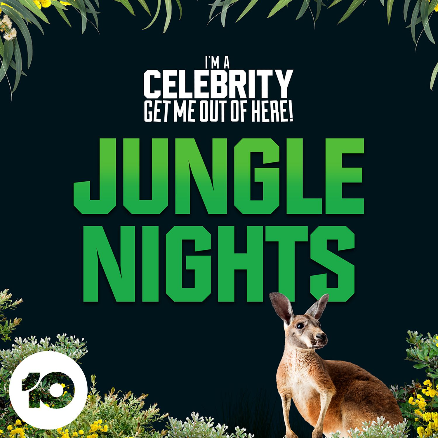 cover art for Jungle Nights Season 2
