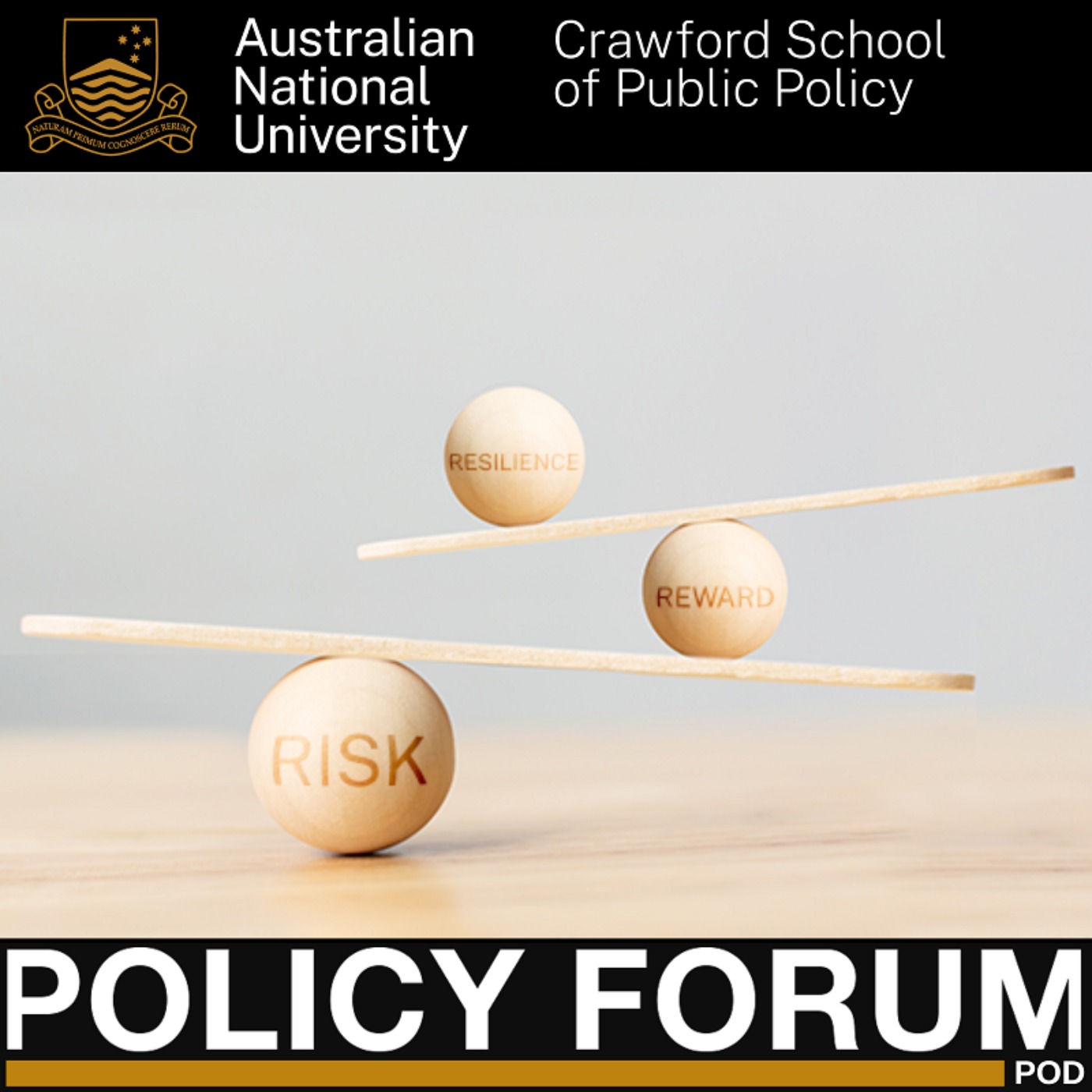 Integrating risk, reward and resilience in policy