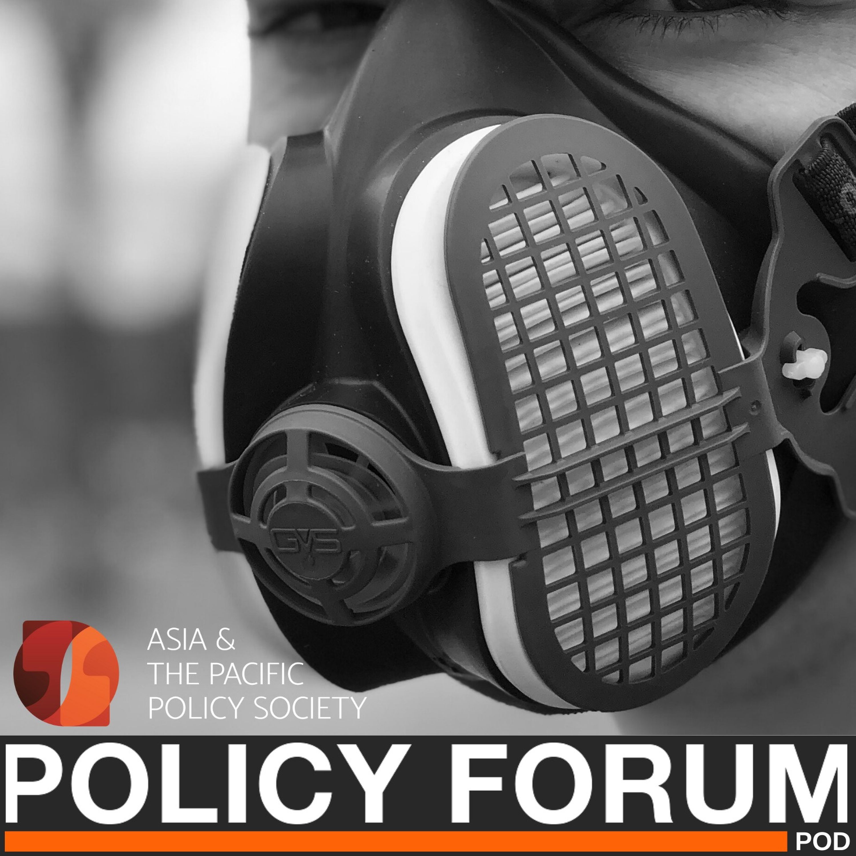 From the ashes: social security and Australia’s bushfire recovery episode artwork