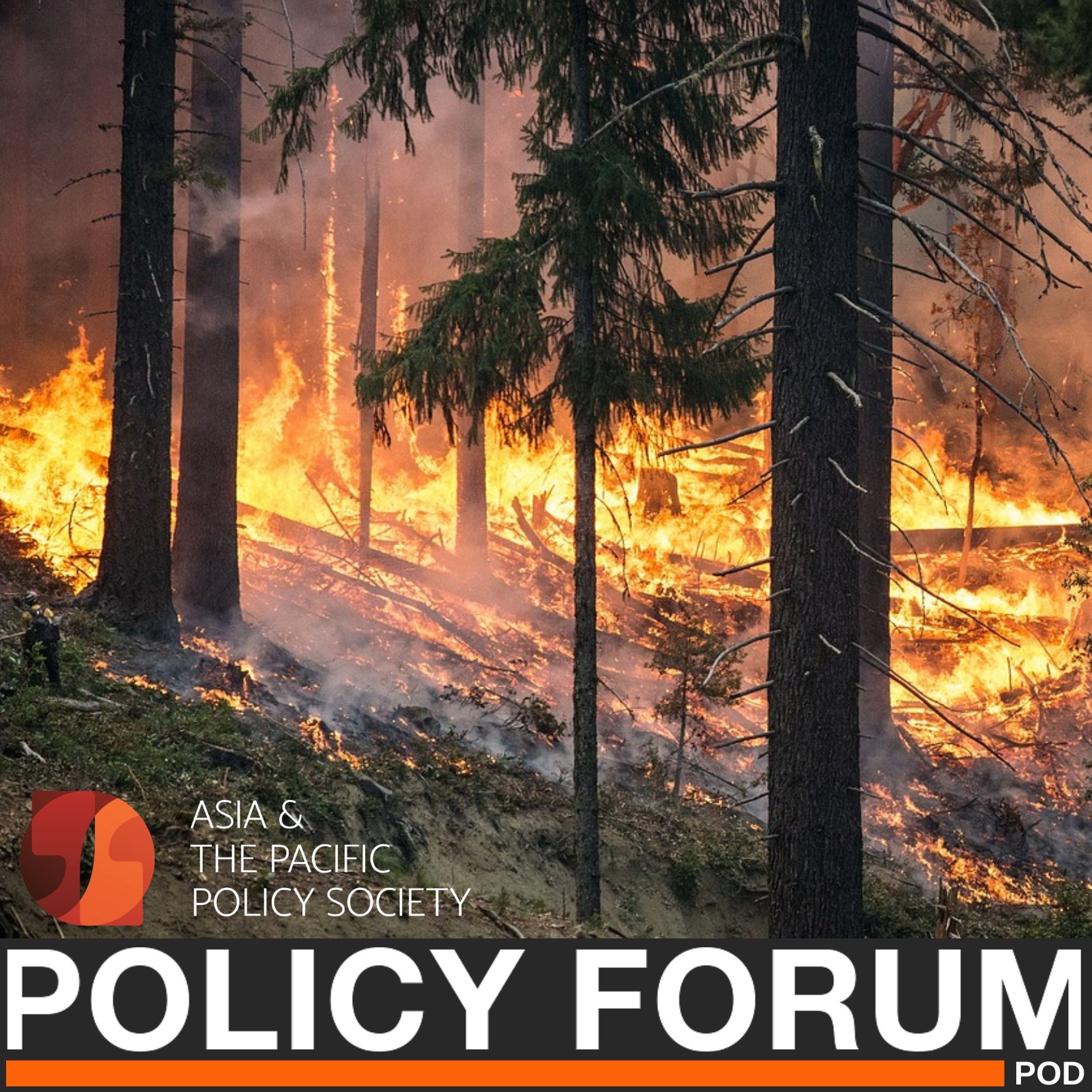 Policy Forum Pod