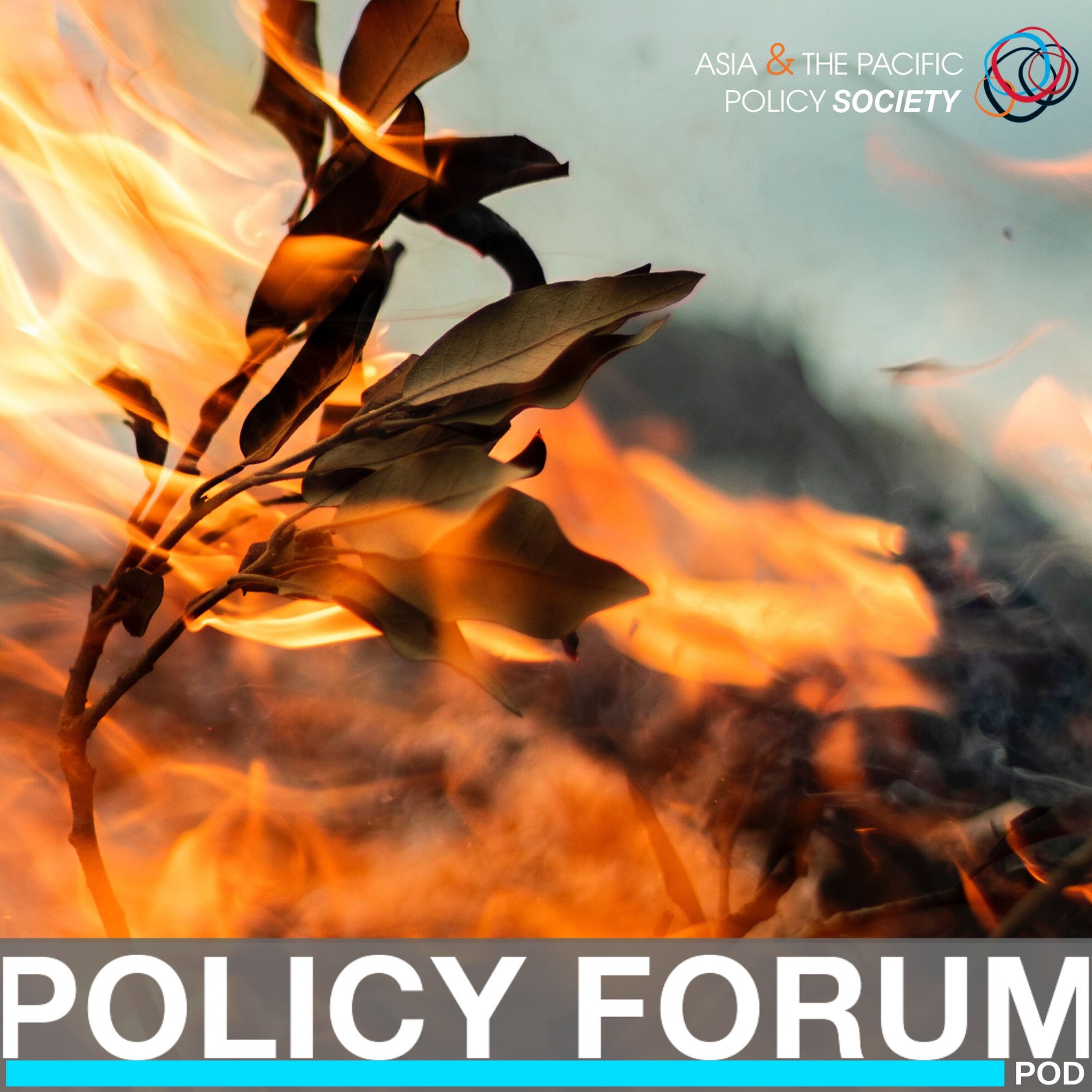Policy Forum Pod