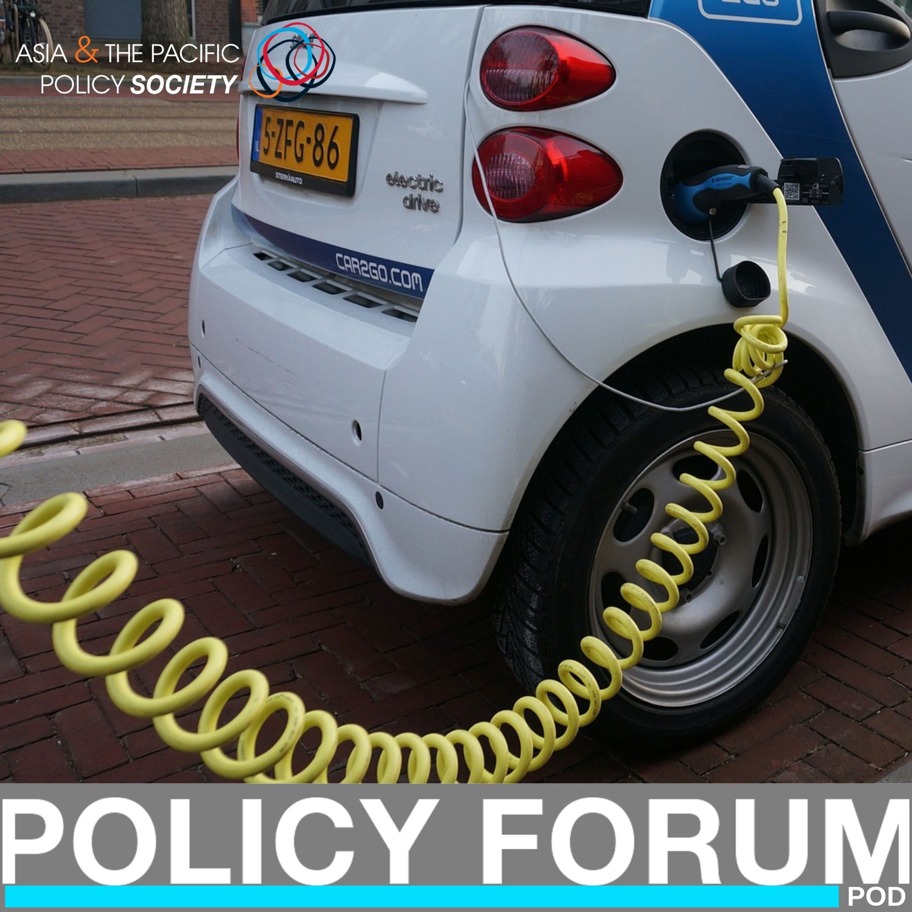 Driving electric vehicle policy