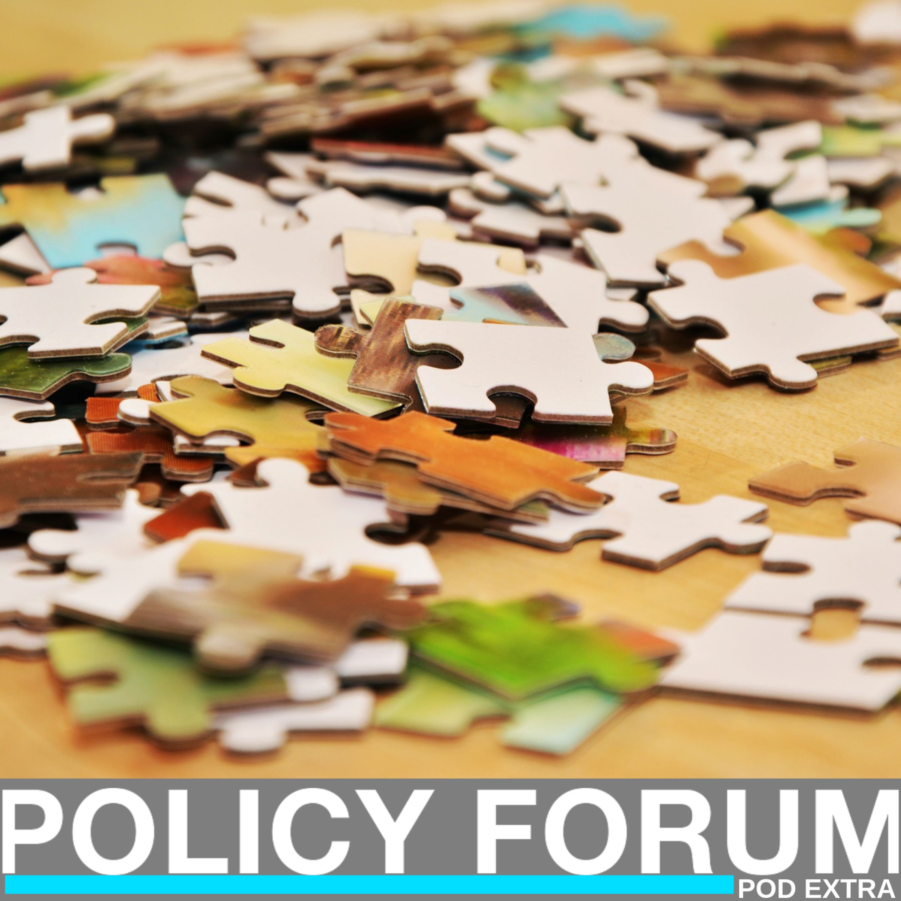 Extra: Wicked problems - domestic policy (live event) episode artwork