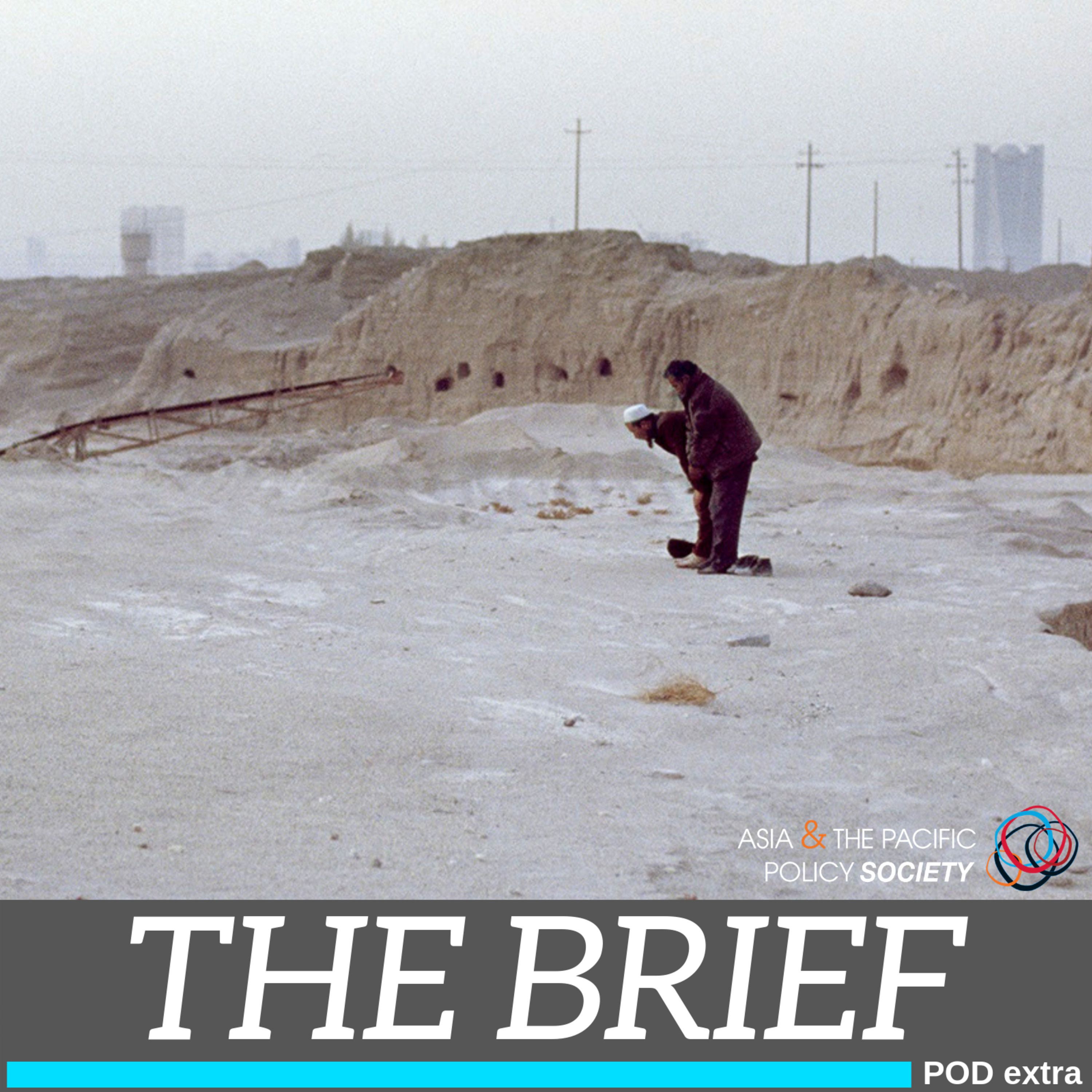 The Brief: China’s Xinjiang police state episode artwork