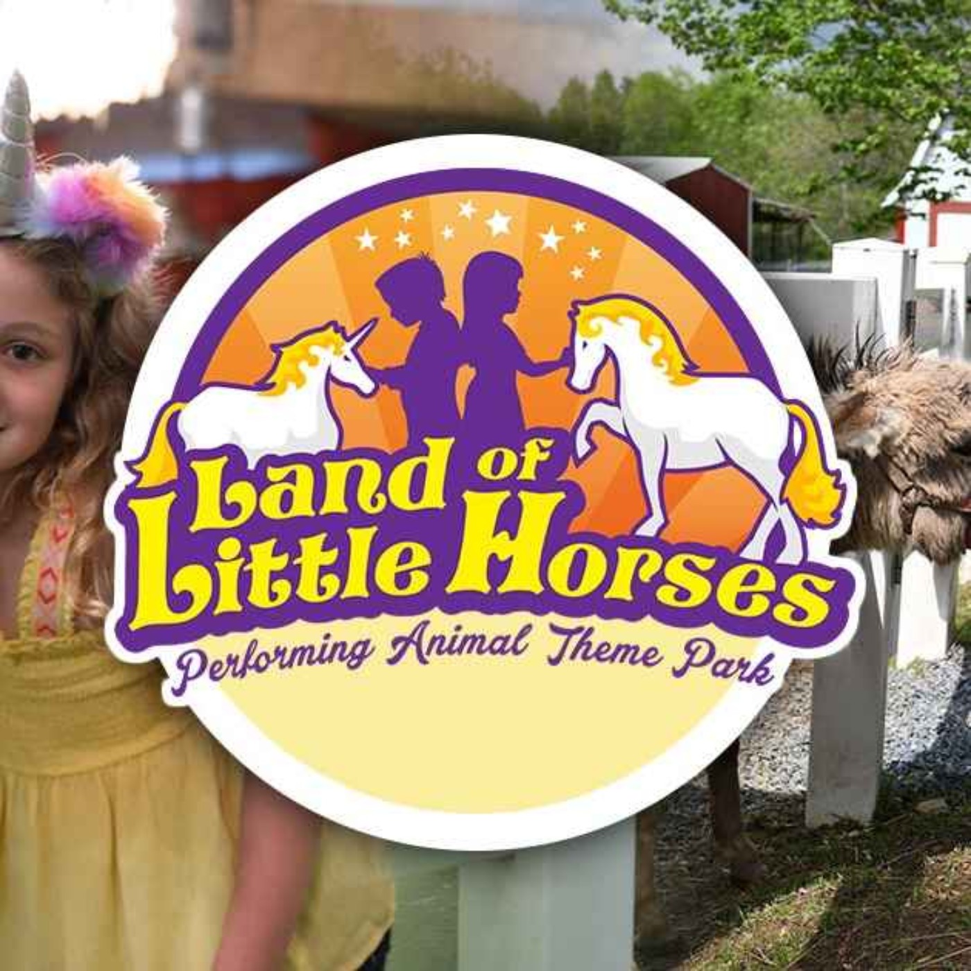 ep 367 - the land of little horses artwork