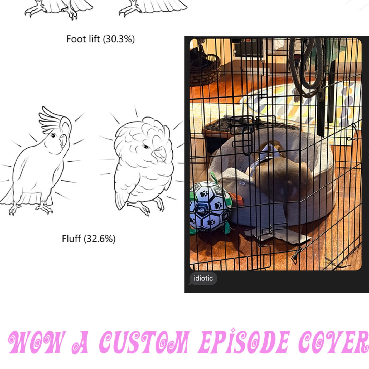 ep 369 - the beautiful dance of the cockatoo artwork