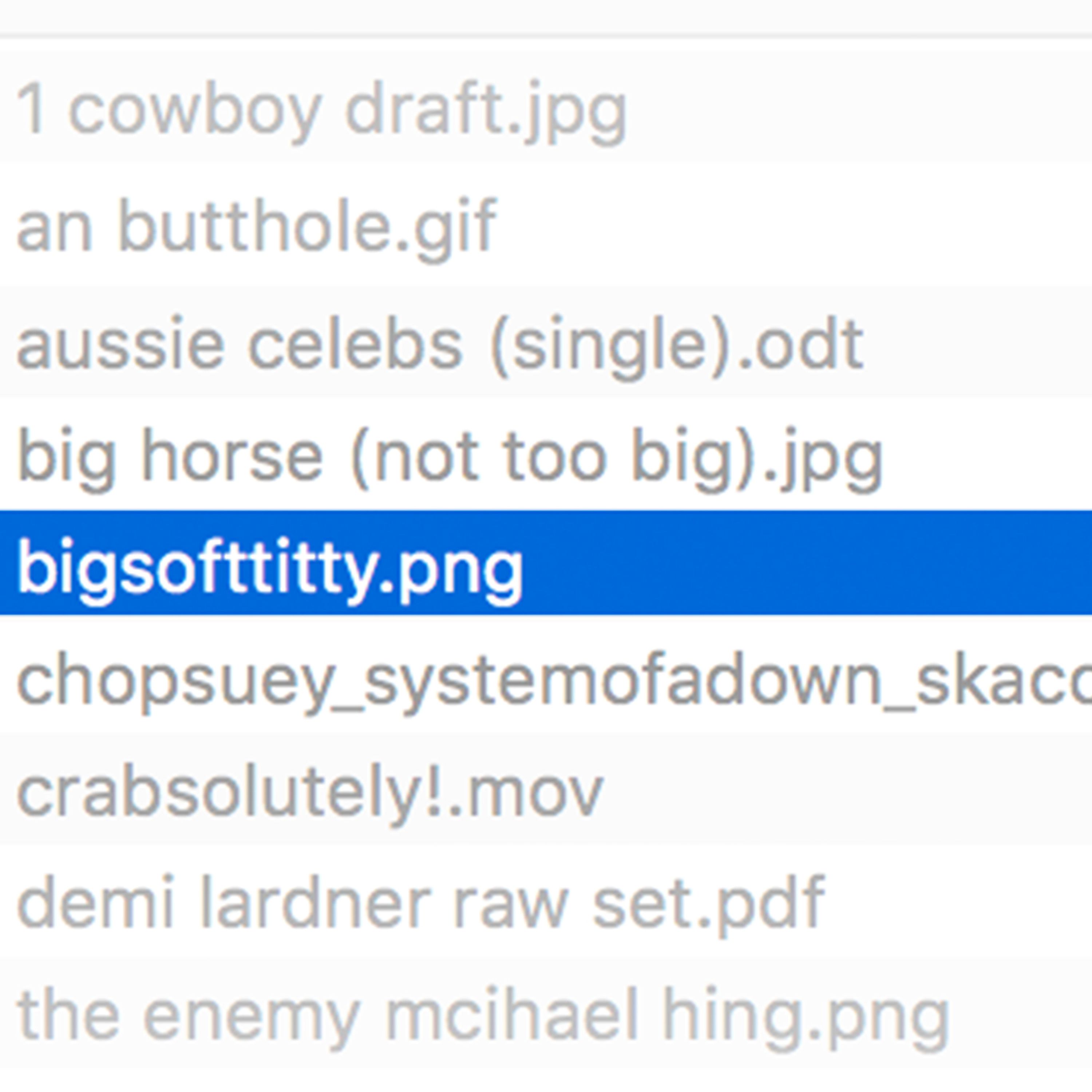 bigsofttitty.png