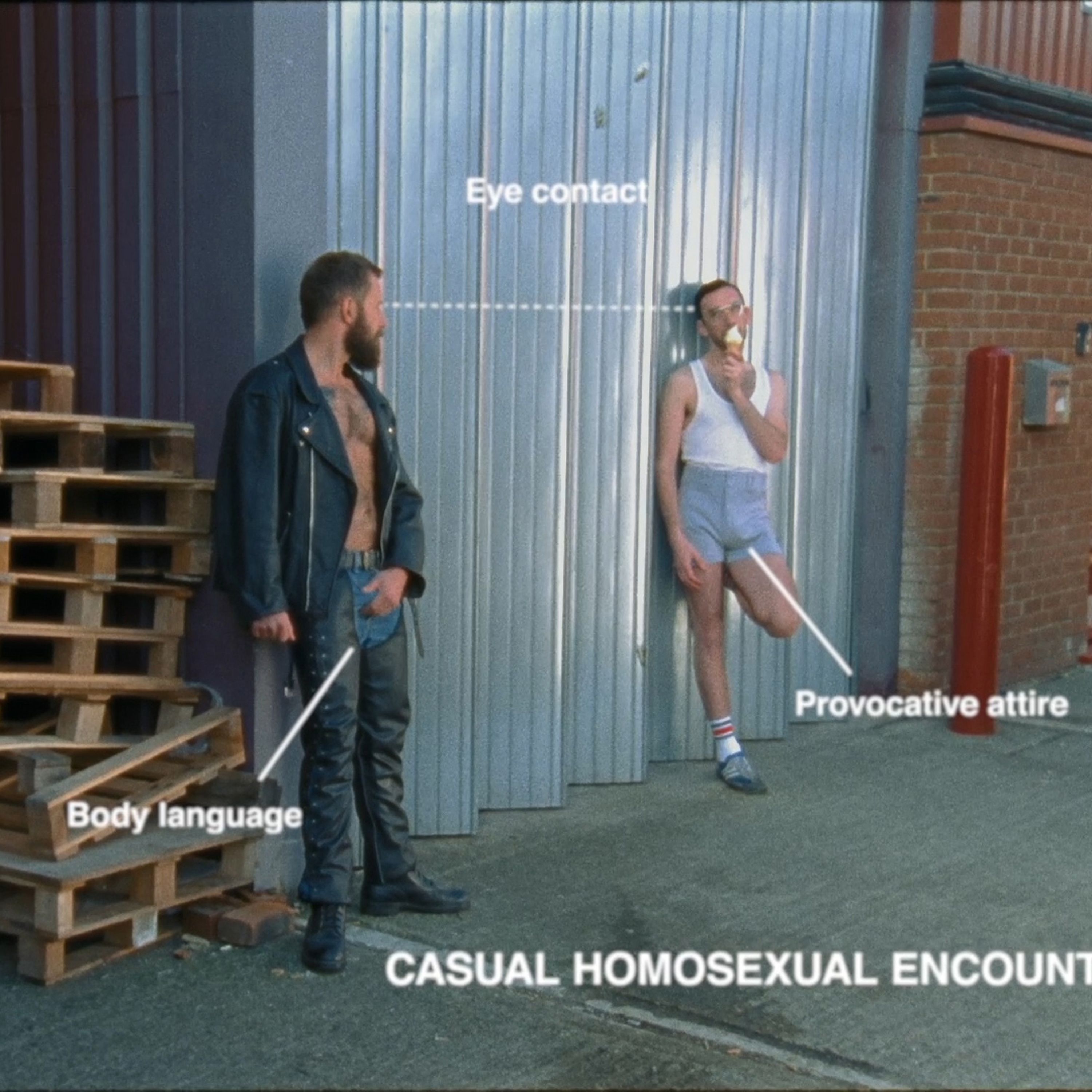 Queers