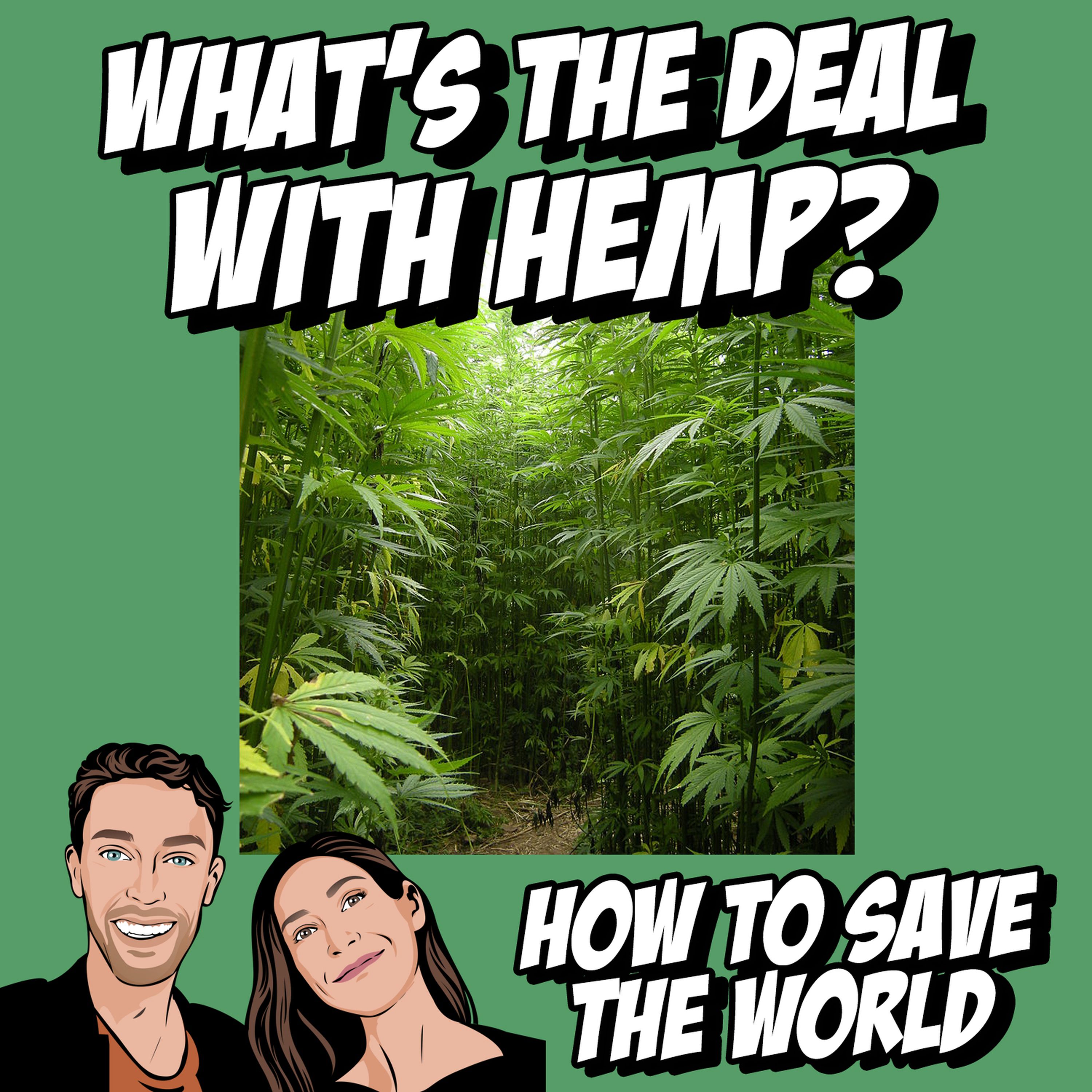 What's The Deal With Hemp