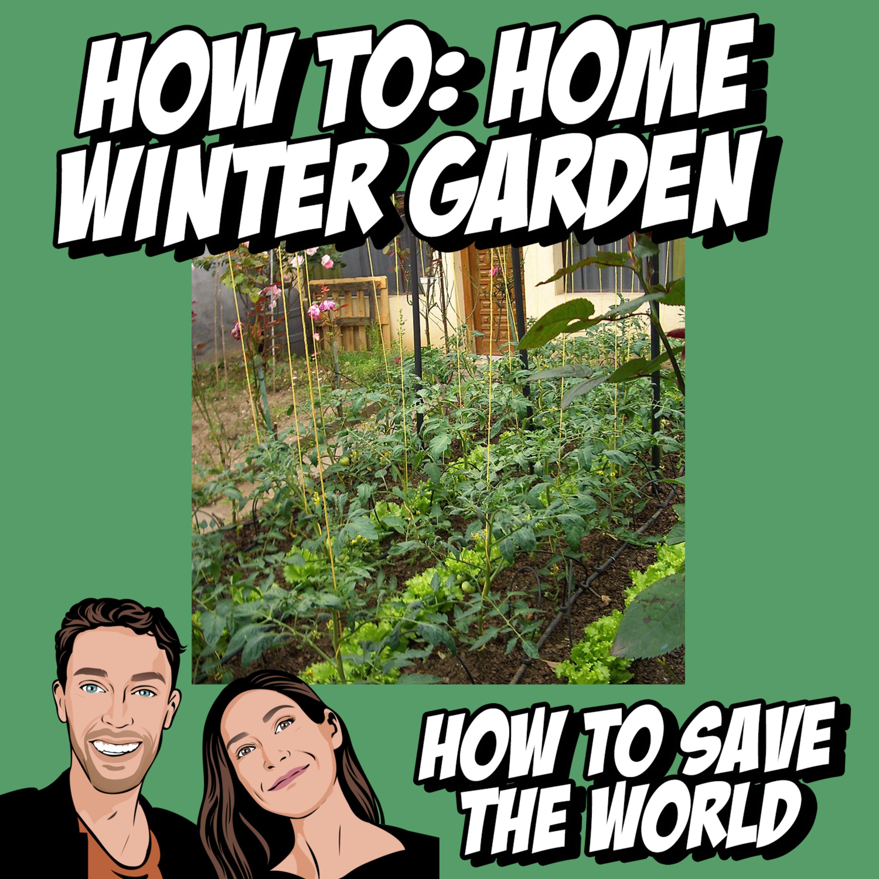 cover art for How To: Home Winter Garden