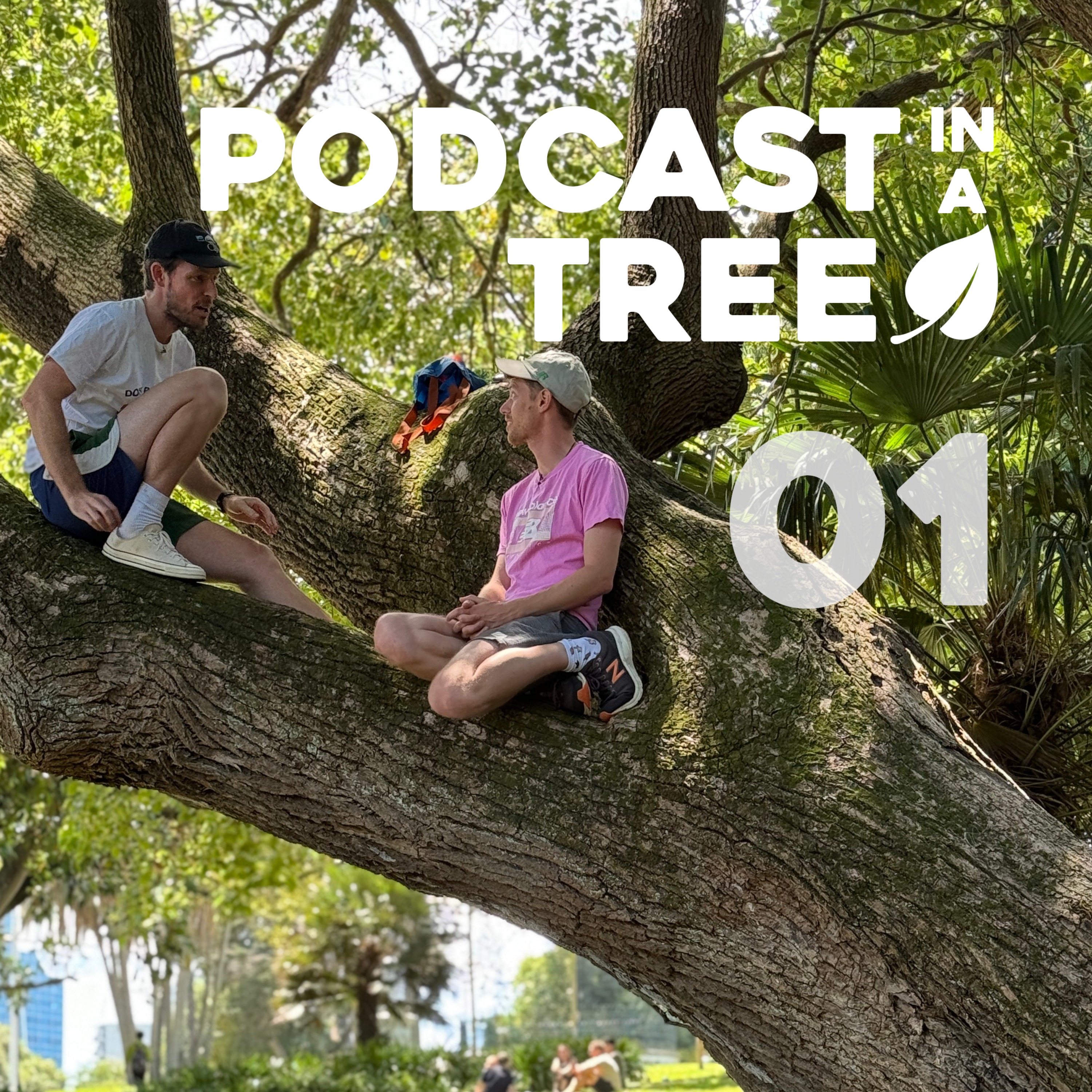 cover art for Podcast In A Tree 2: 01